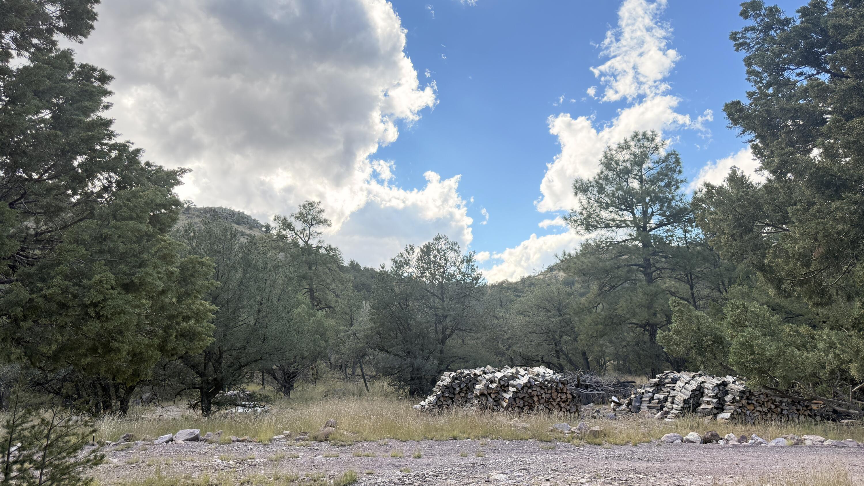 Photo 11 — 16 Canyon Oaks Pass