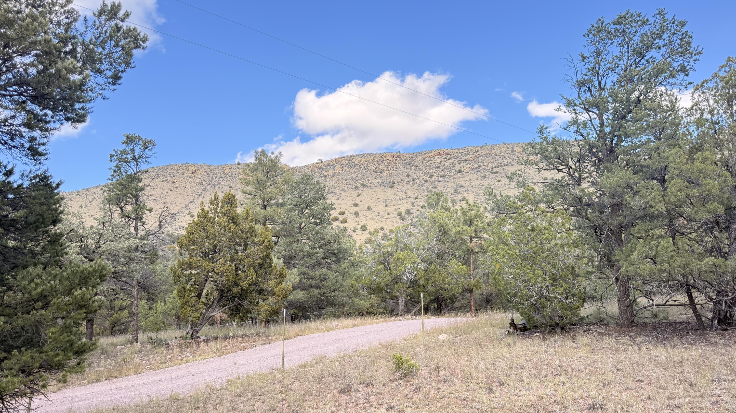 Photo 12 — 16 Canyon Oaks Pass