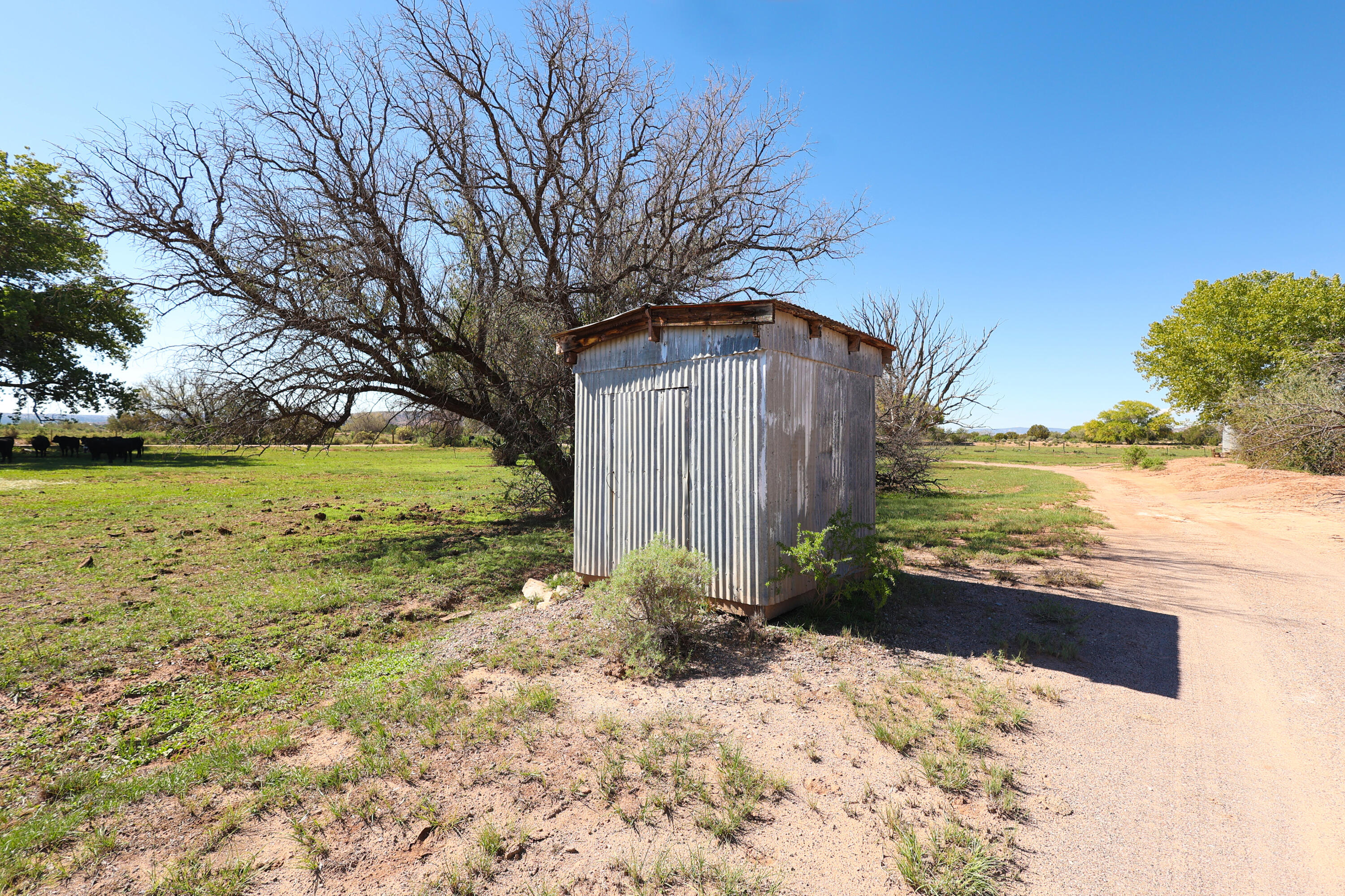 Photo 5 — 23249 US HWY 550 B