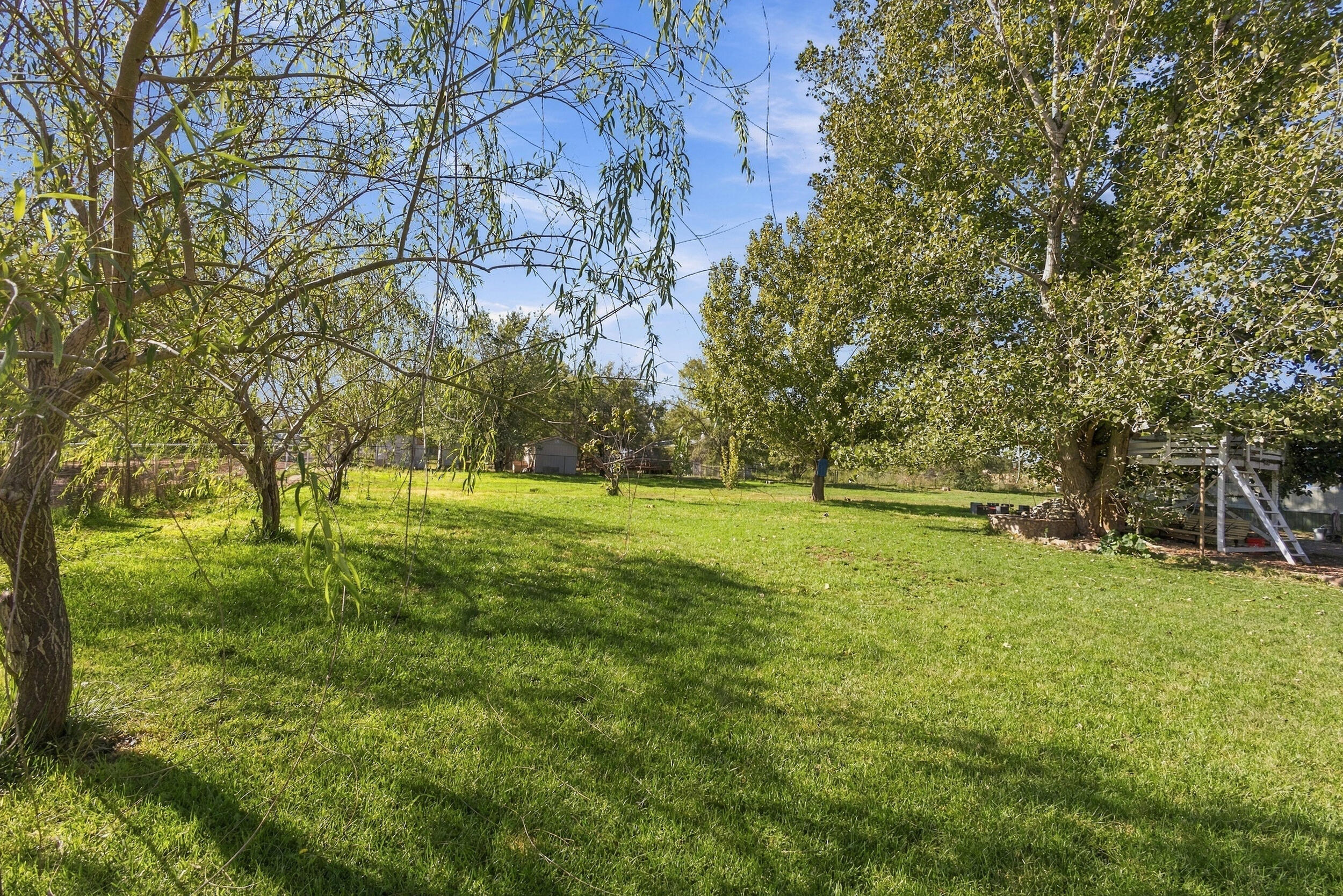 Photo 13 — 5 Selleck Road
