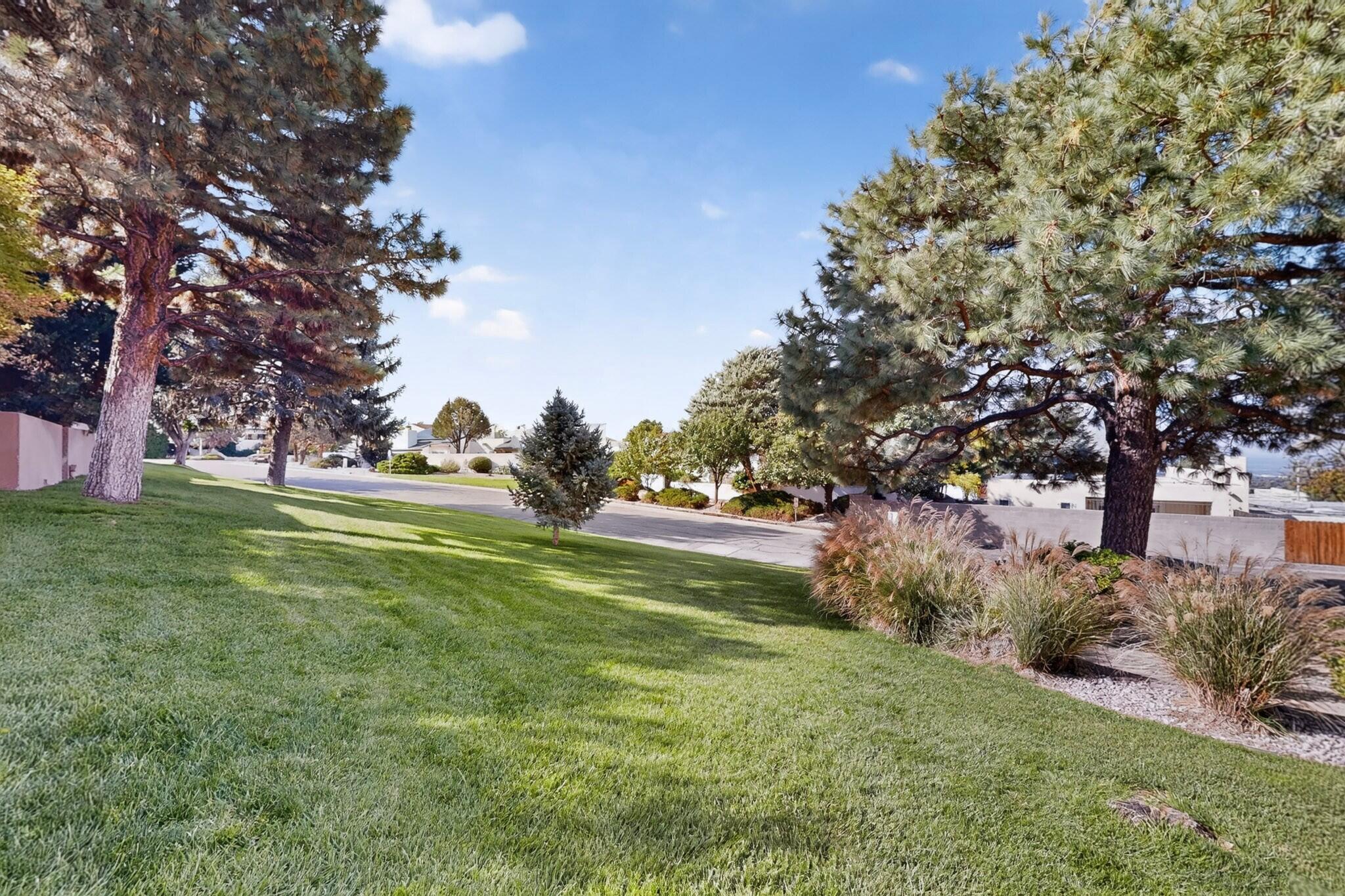 Photo 15 — 13250 Candelaria Road NE