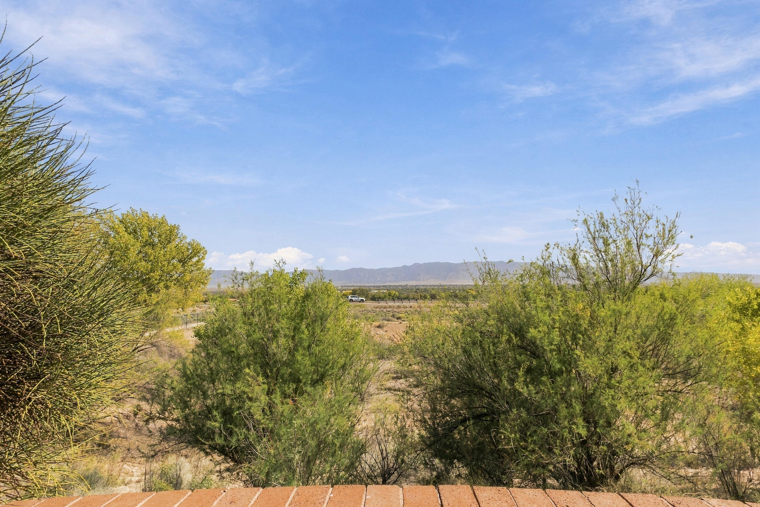 Photo 3 — 314 Sunrise Bluffs Drive