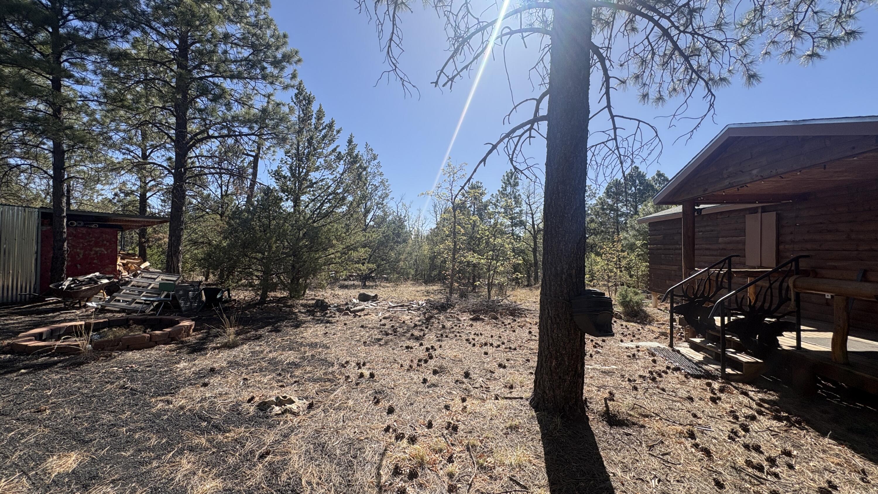 Photo 18 — 7889 Zuni Canyon Road