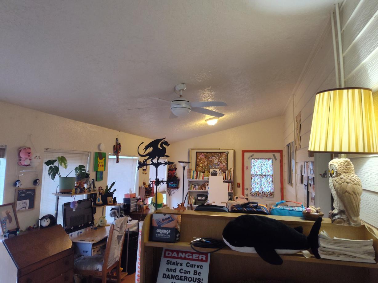 Photo 19 — 201 S Sunset Avenue