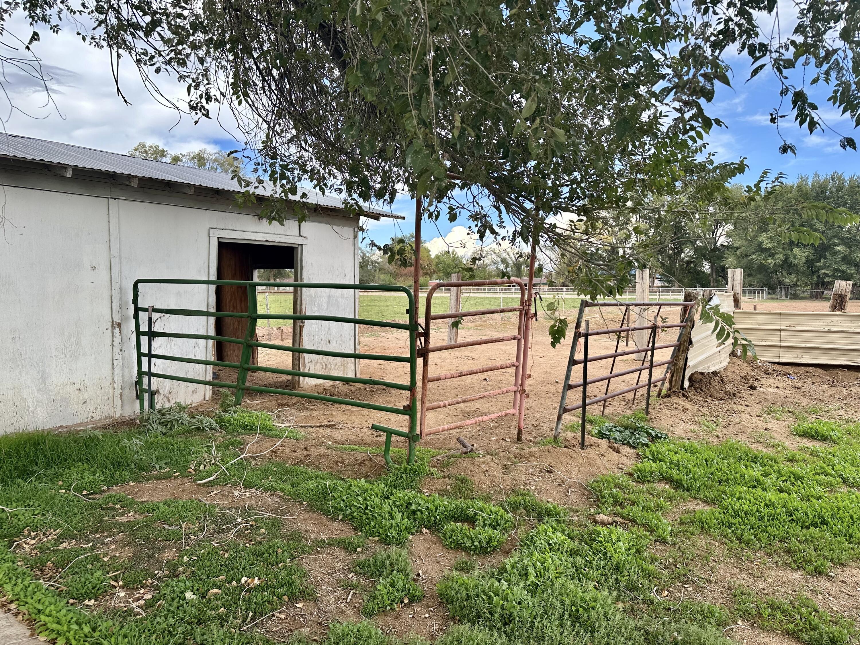 Photo 12 — 930 W Bosque Loop