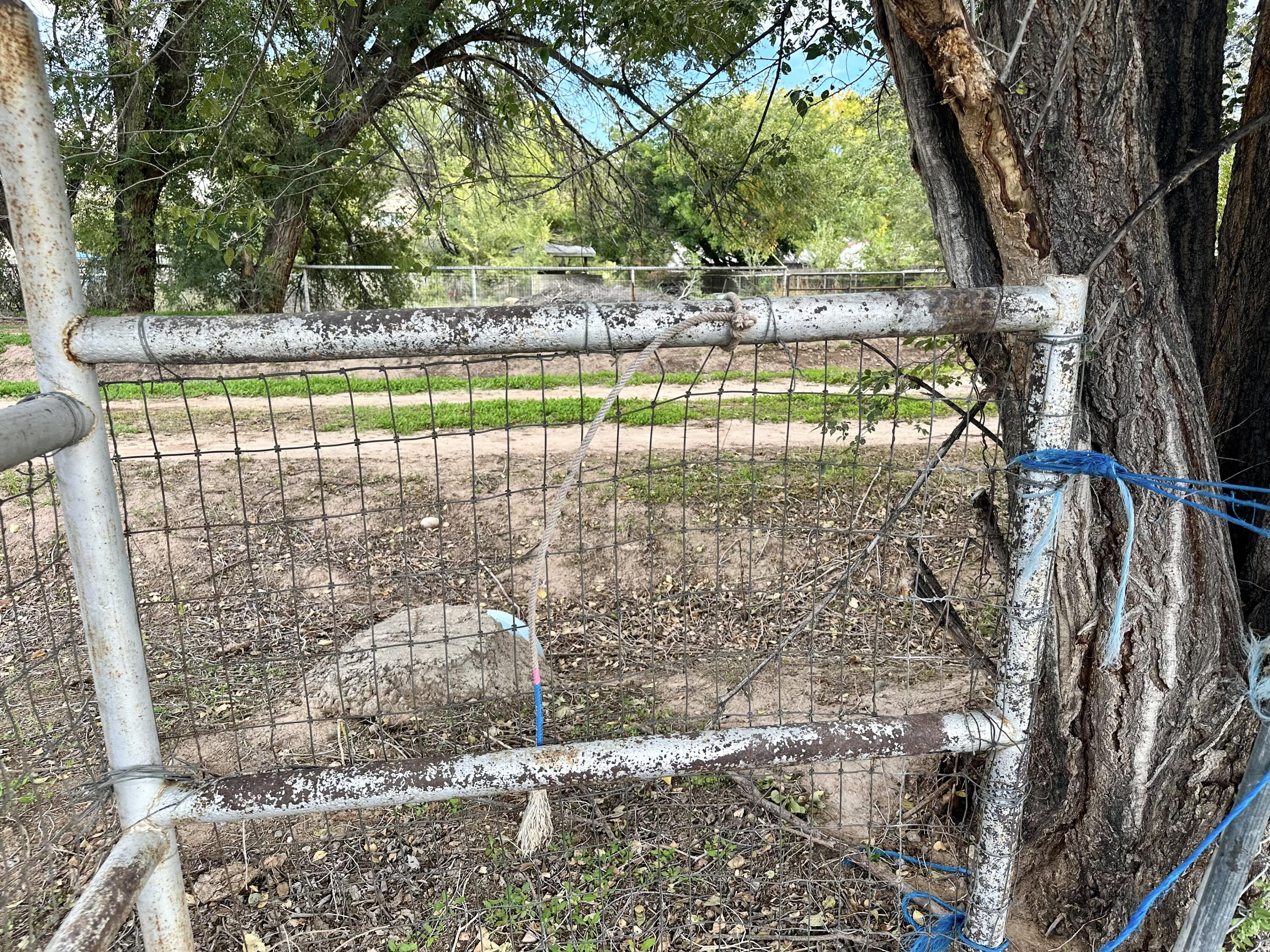Photo 2 — 930 W Bosque Loop