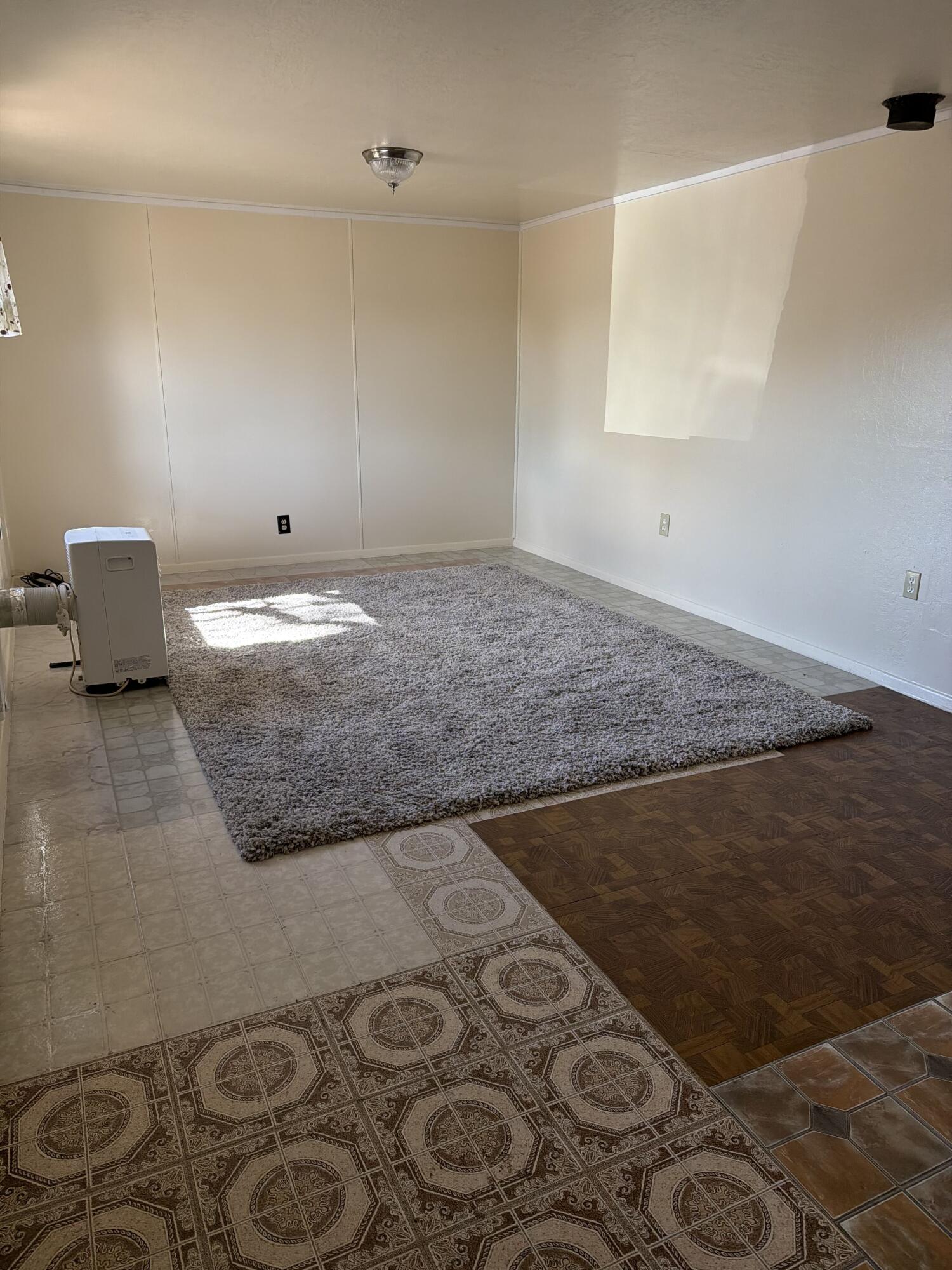 Photo 12 — 215 Tamarack Street