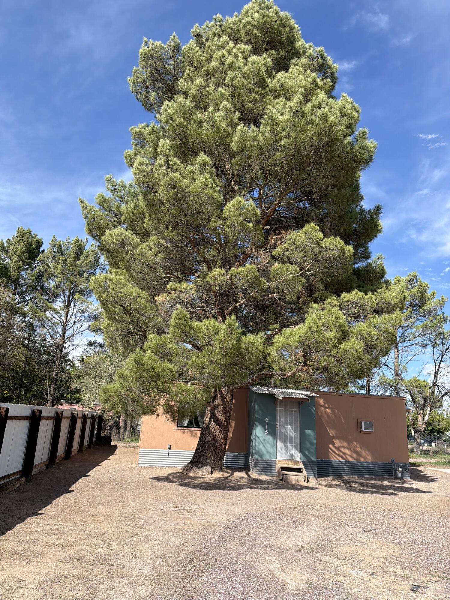 Photo 5 — 215 Tamarack Street