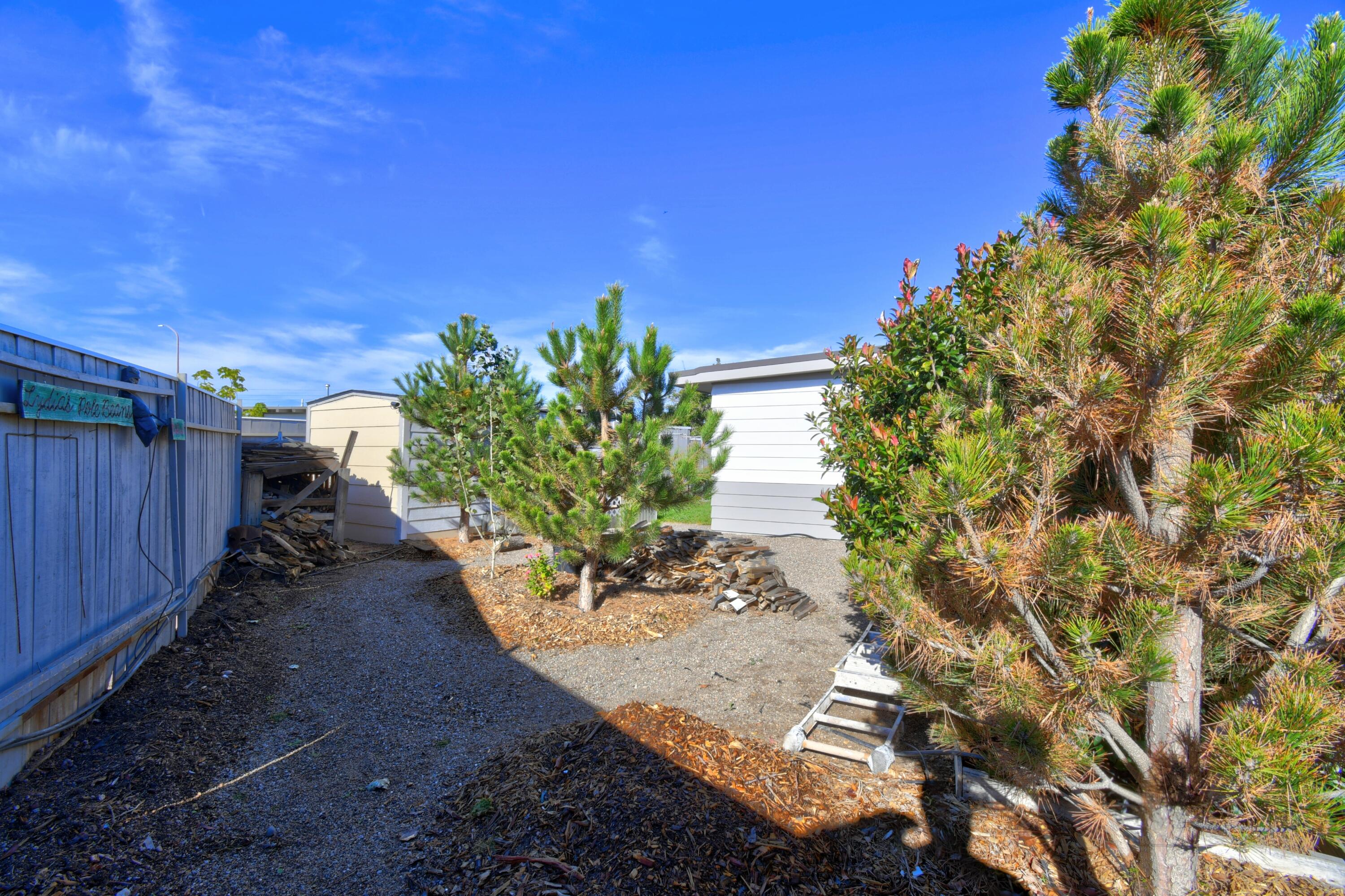 Photo 3 — 1133 McKee Drive NE