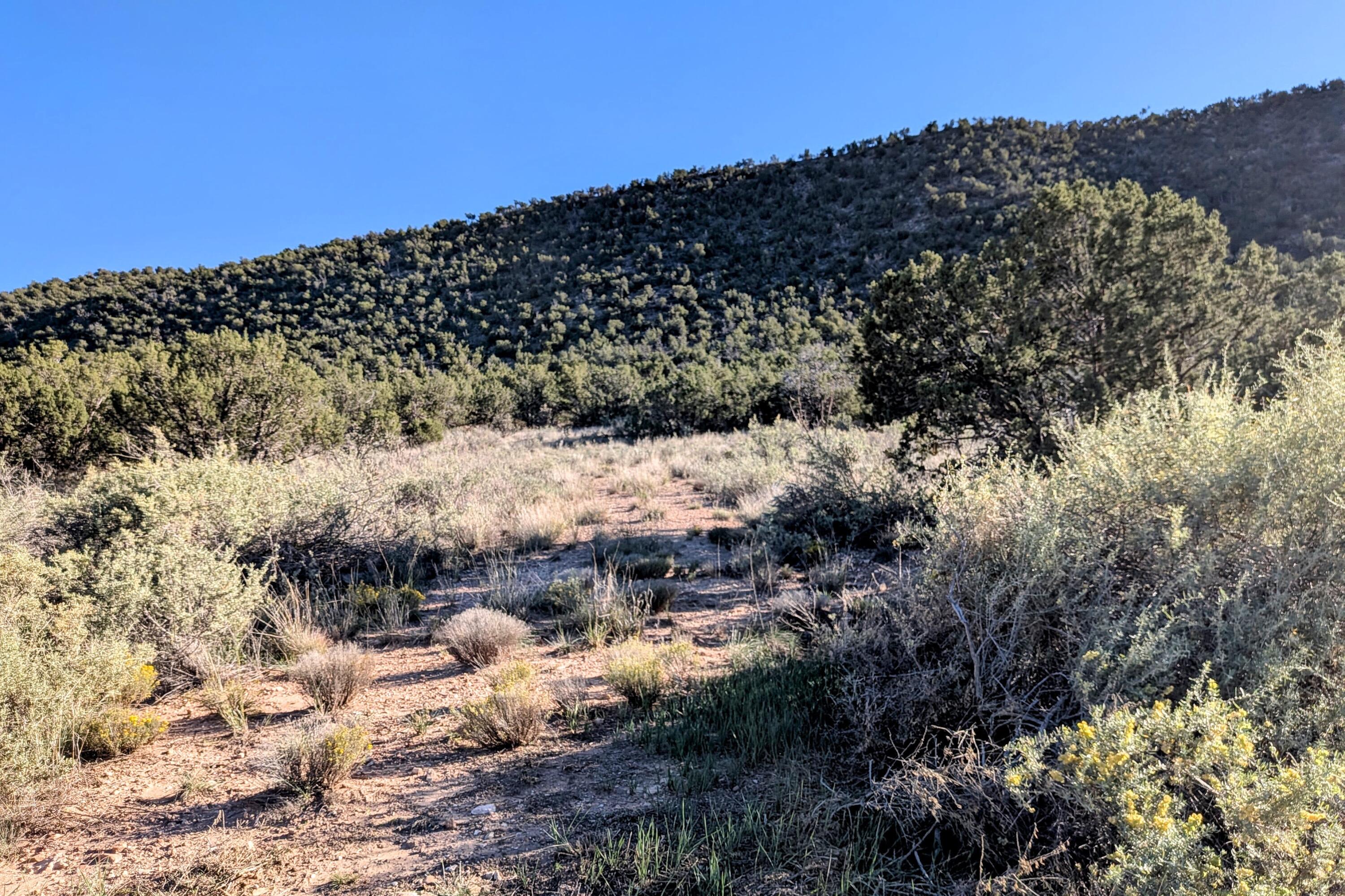 Photo 8 — 3333 Jumano Trail