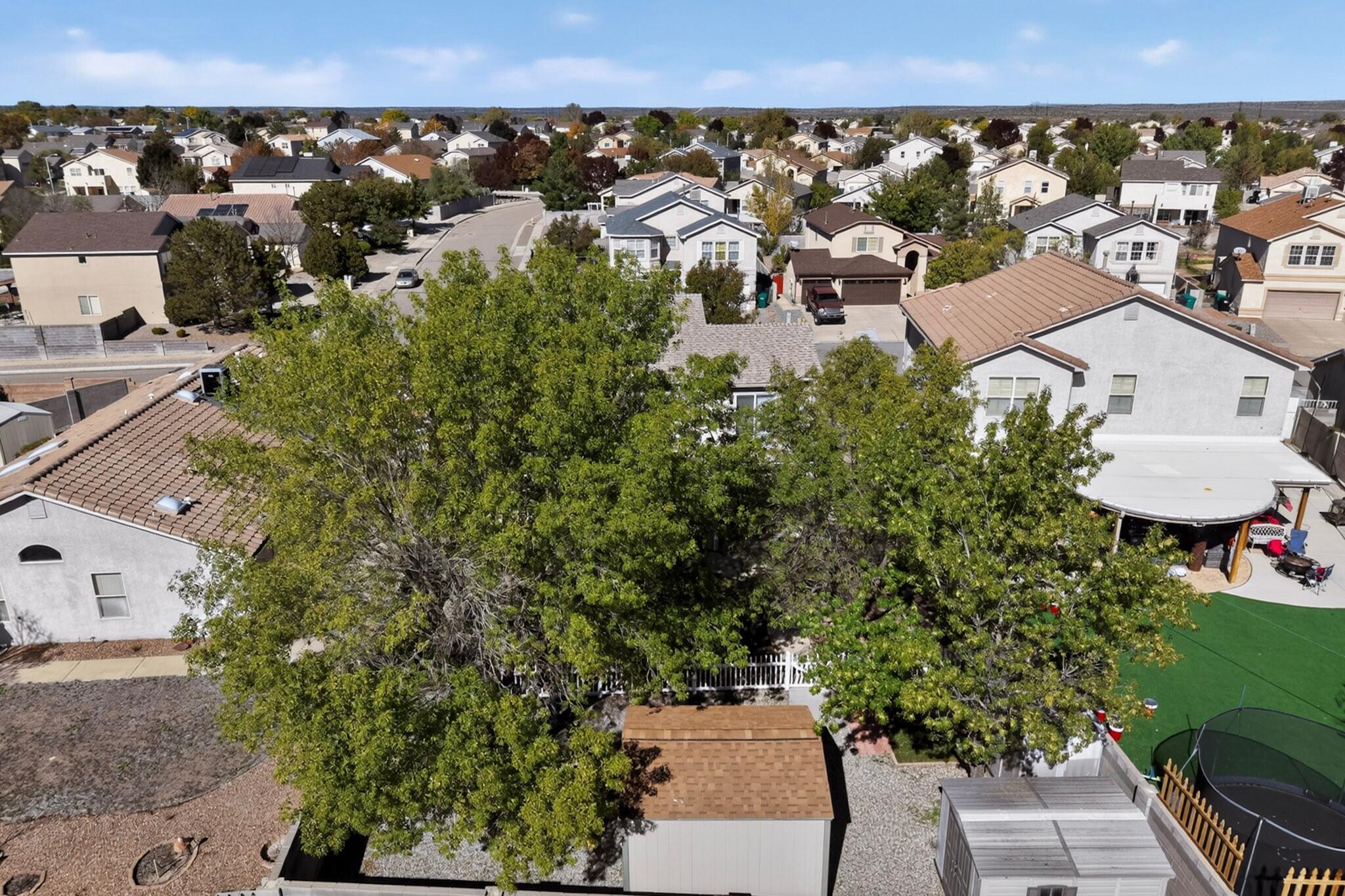 Photo 12 — 3352 Colmor Meadows Circle NE