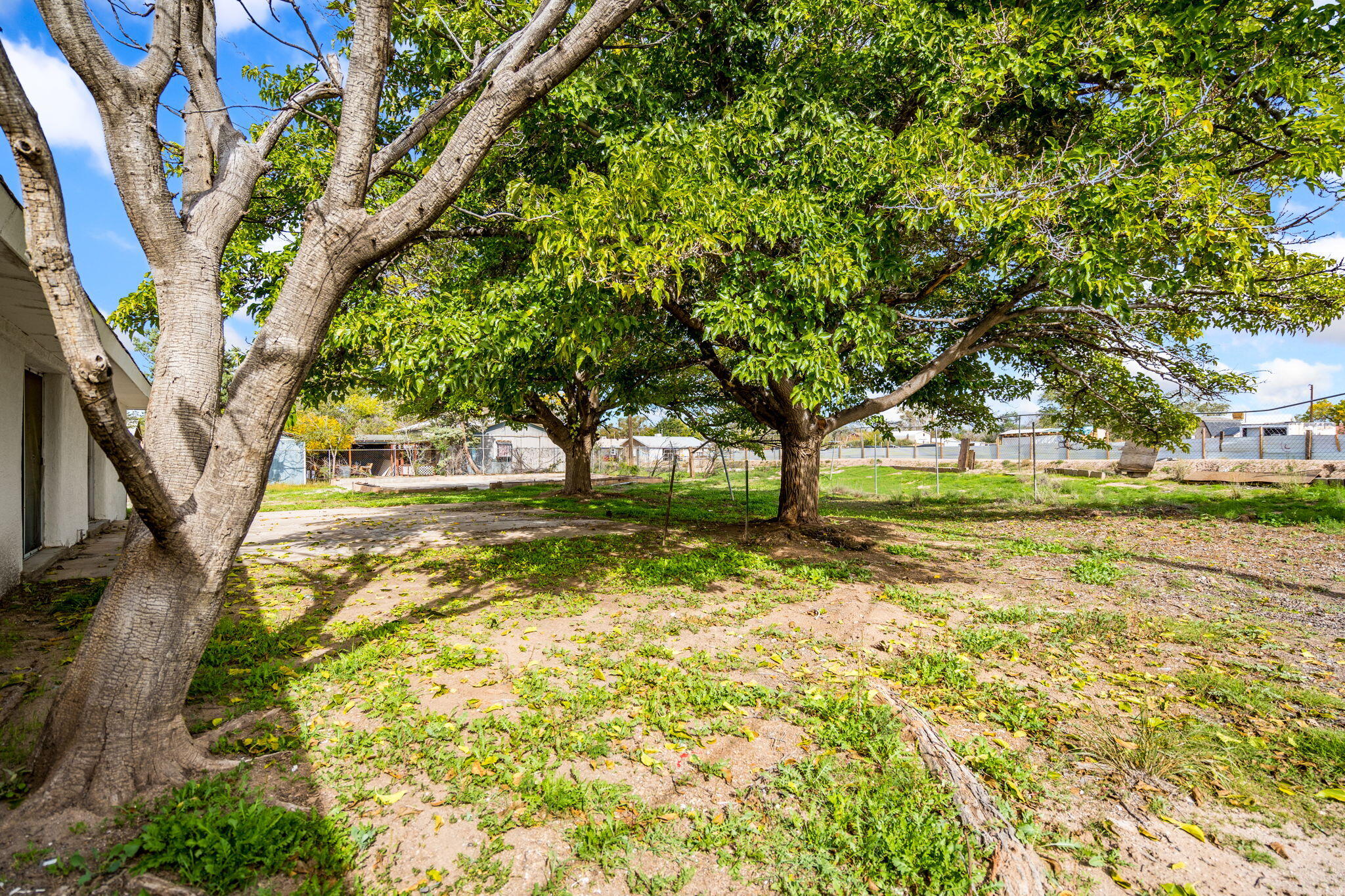 Photo 4 — 3212 De Vita Road SW