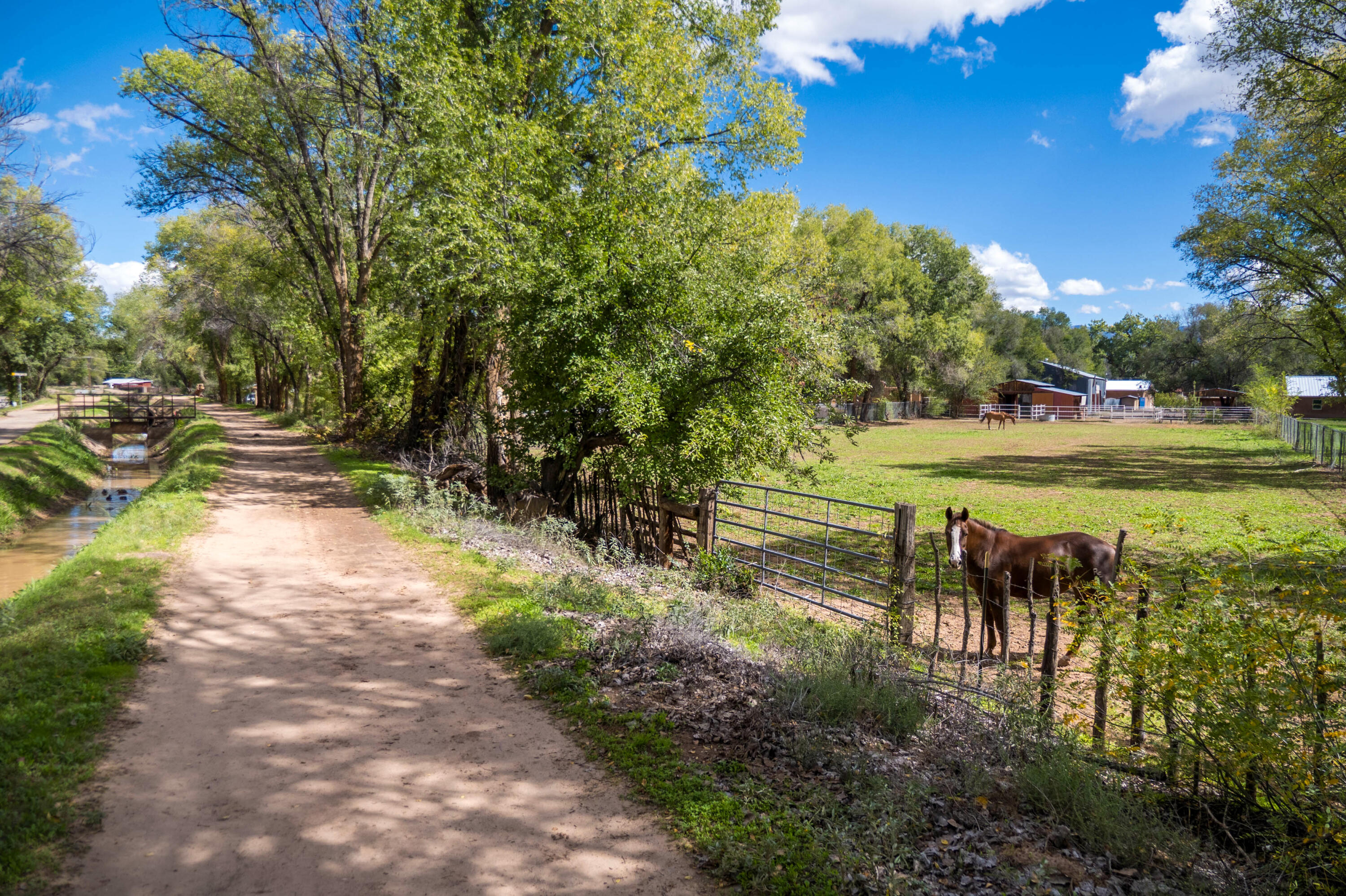 Photo 8 — 3821 Corrales Road