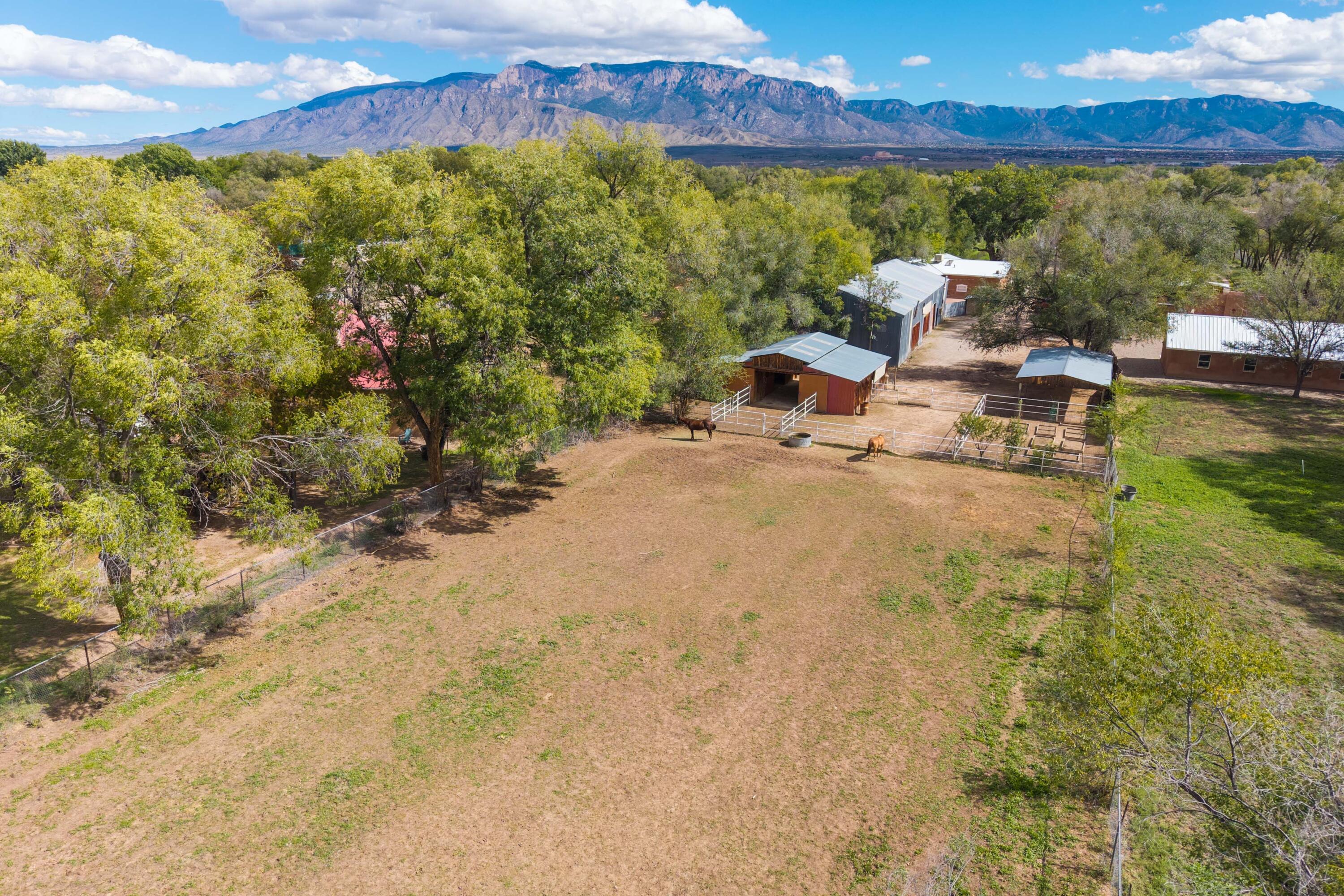Photo 9 — 3821 Corrales Road