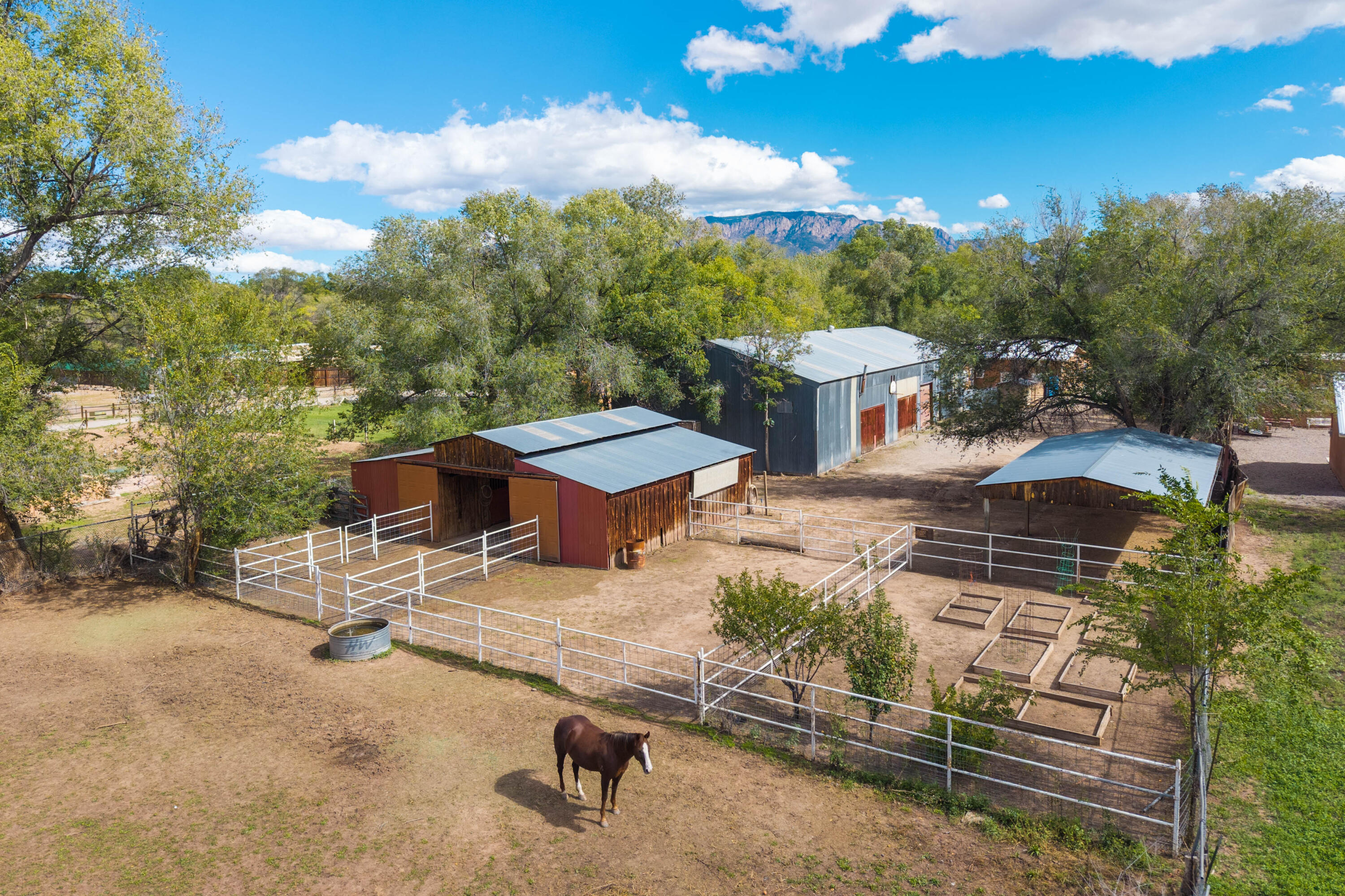 Photo 10 — 3821 Corrales Road