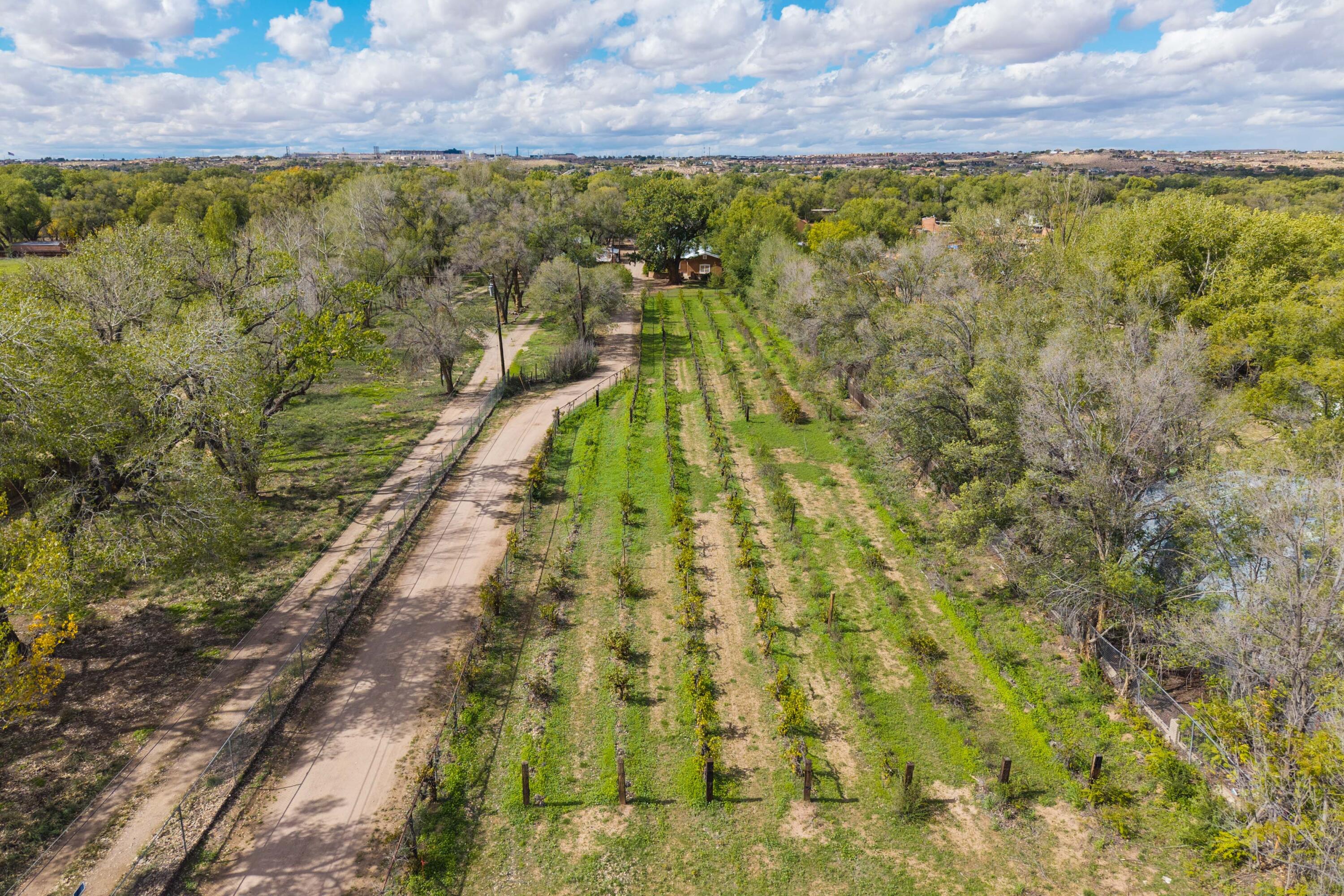 Photo 11 — 3821 Corrales Road