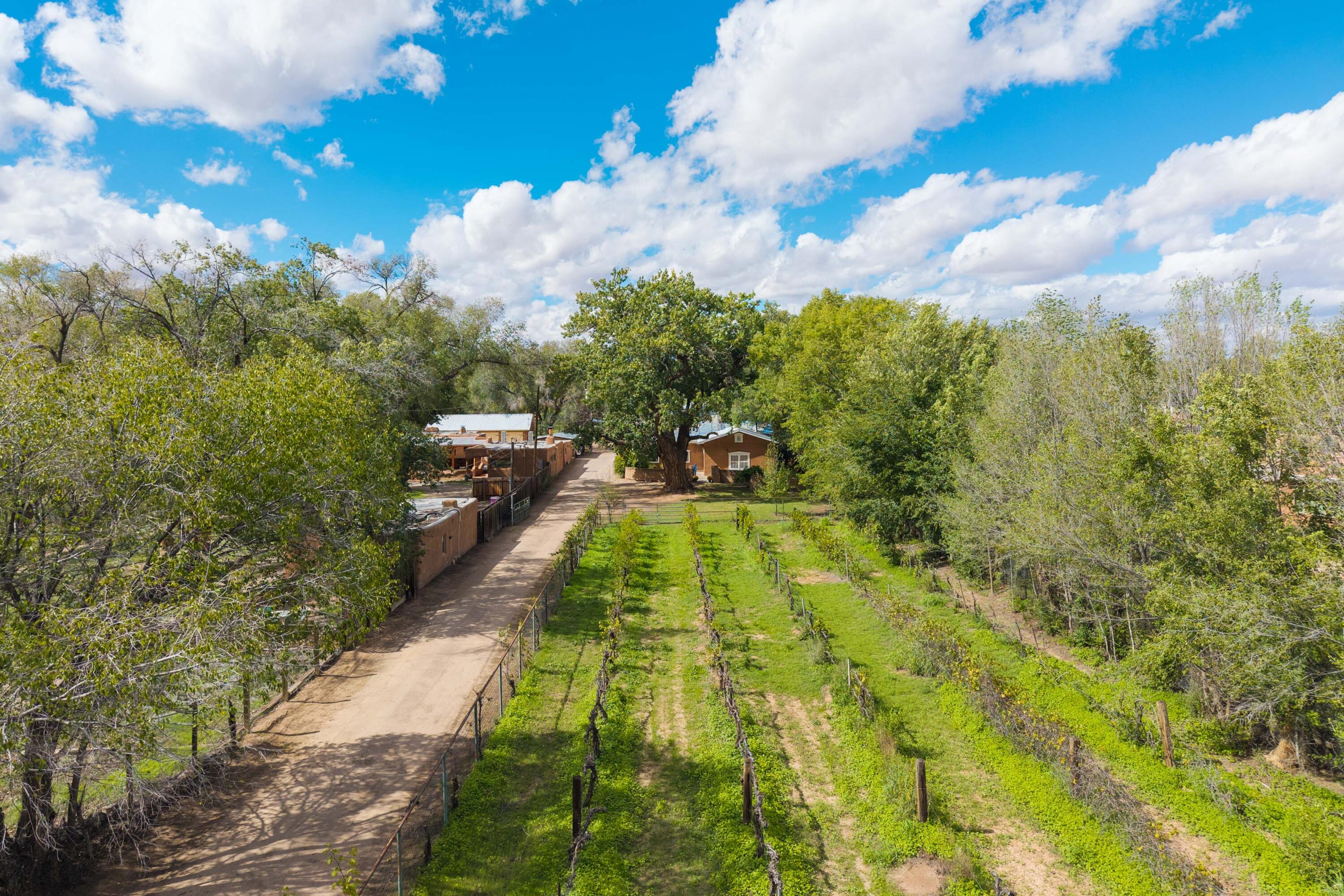 Photo 12 — 3821 Corrales Road