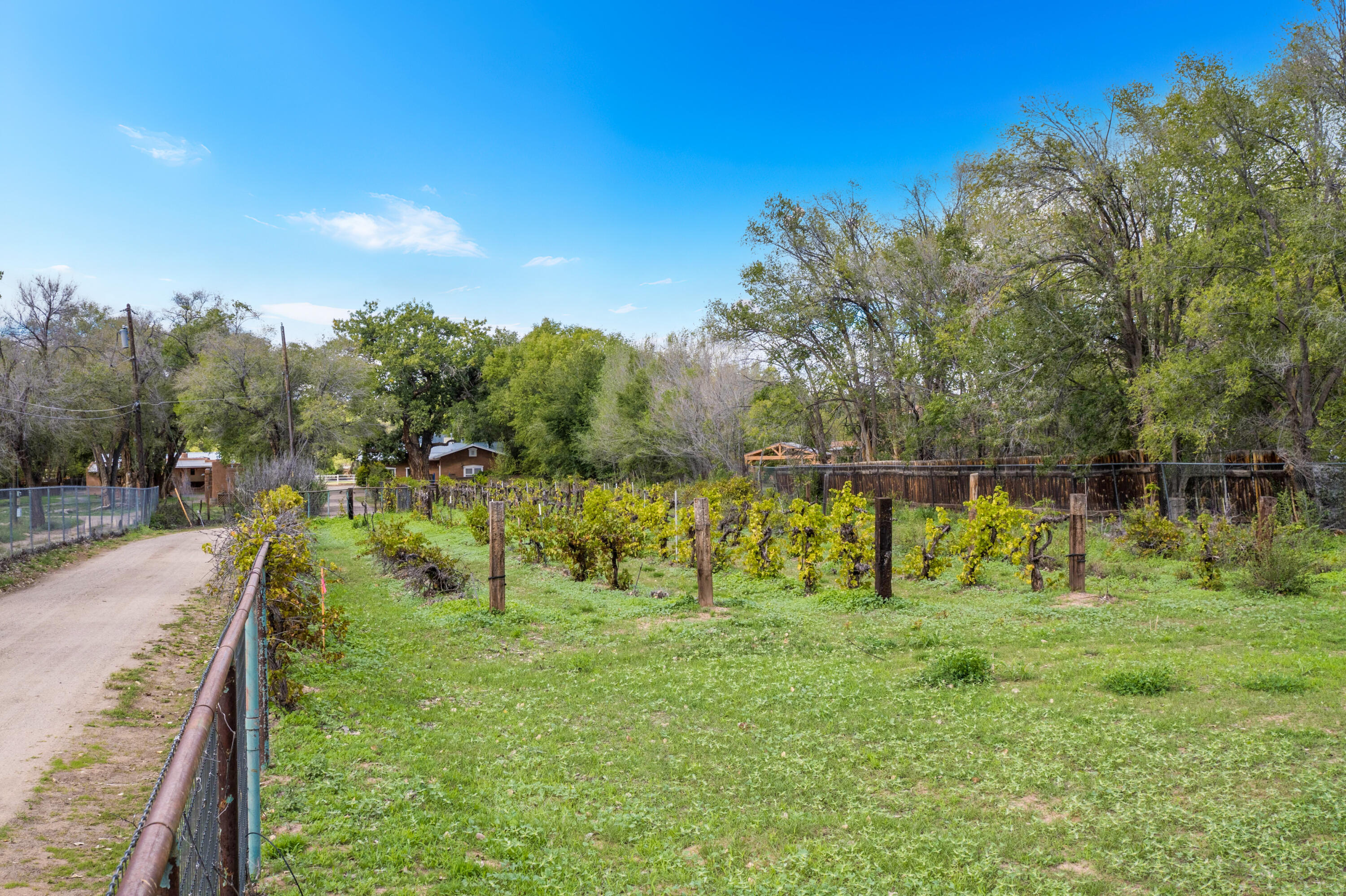Photo 2 — 3821 Corrales Road