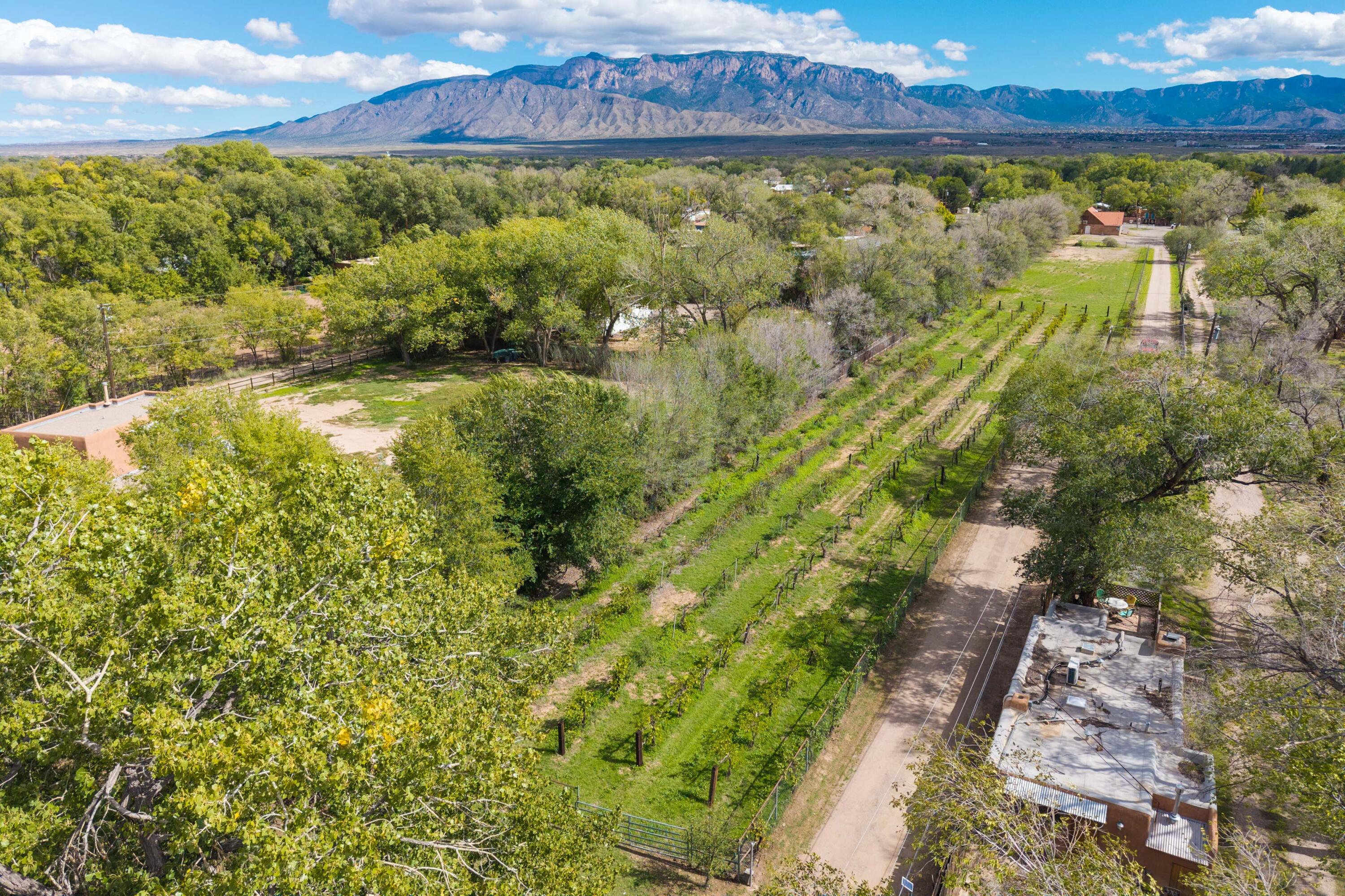 Photo 3 — 3821 Corrales Road