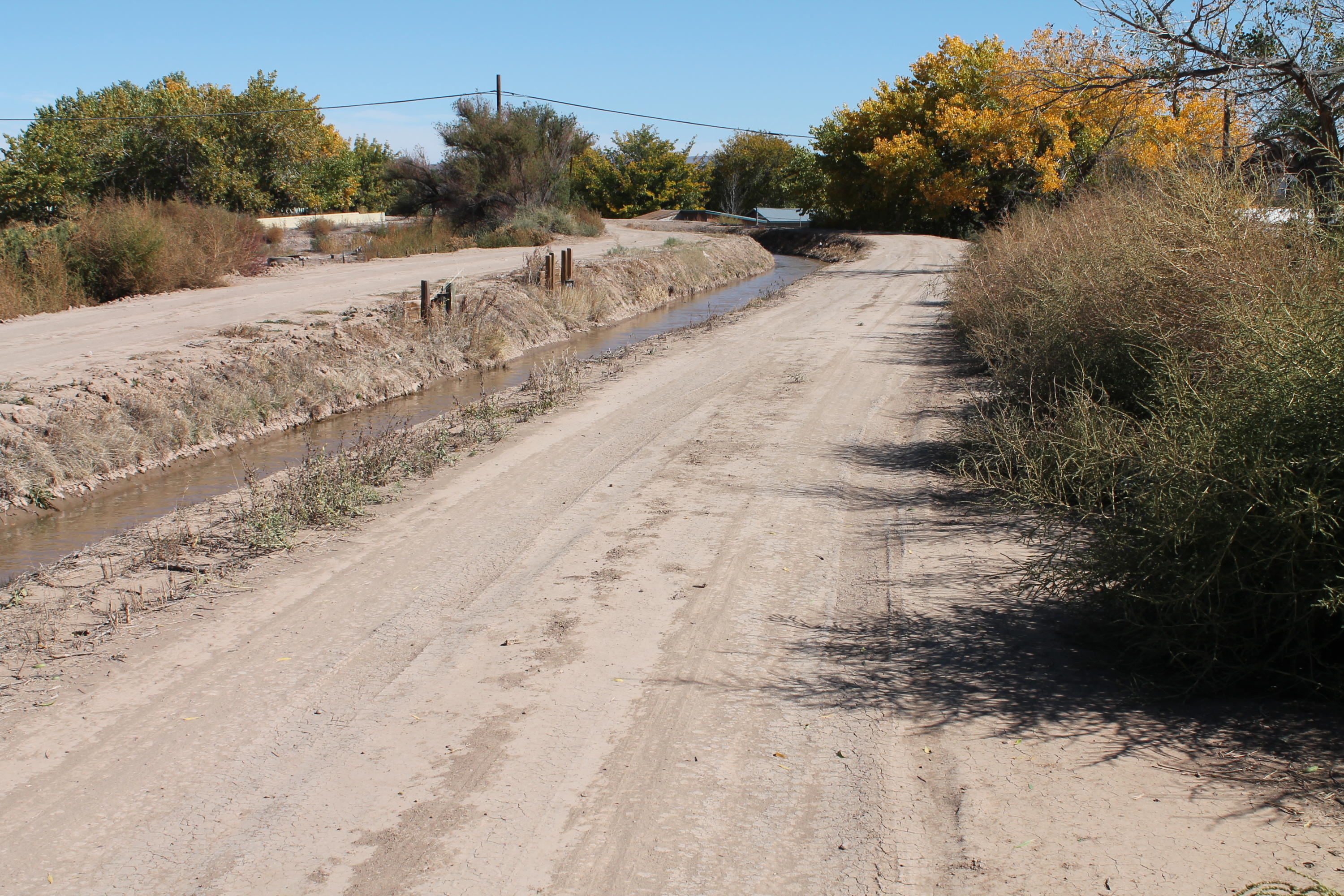 Photo 8 —  Ebler