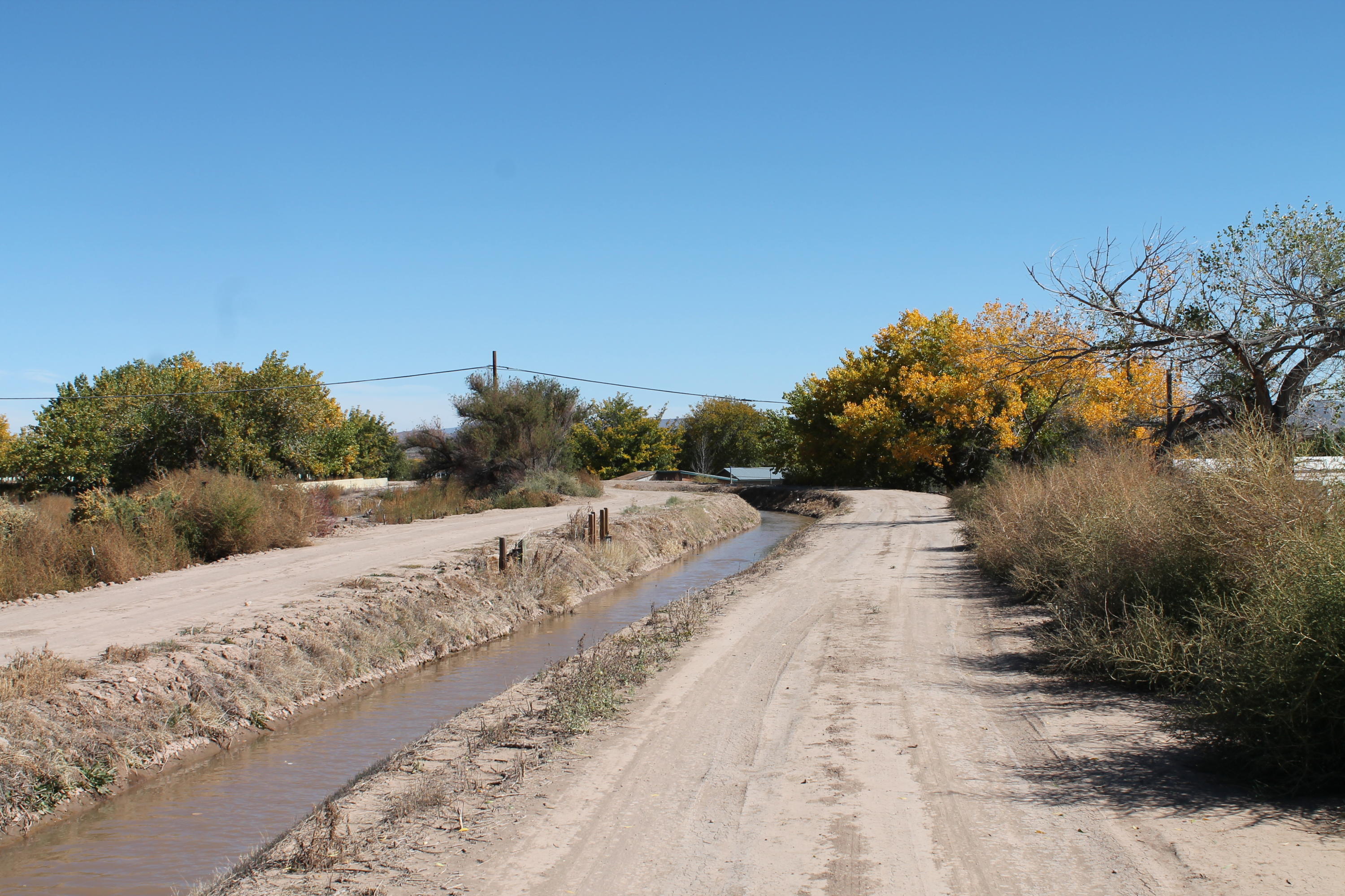 Photo 4 —  Ebler