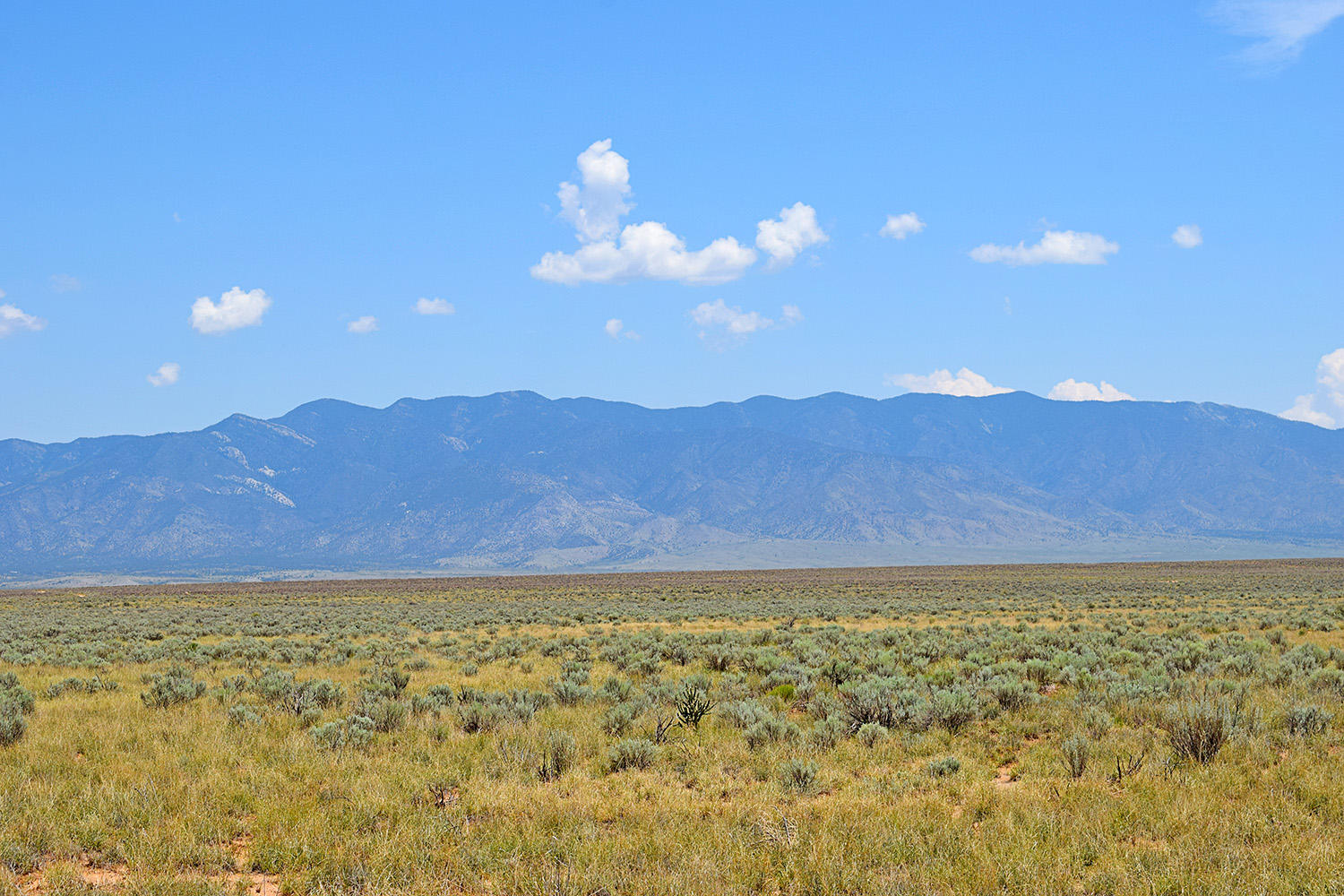 Photo 4 — Lot 7 Rio Del Oro 11
