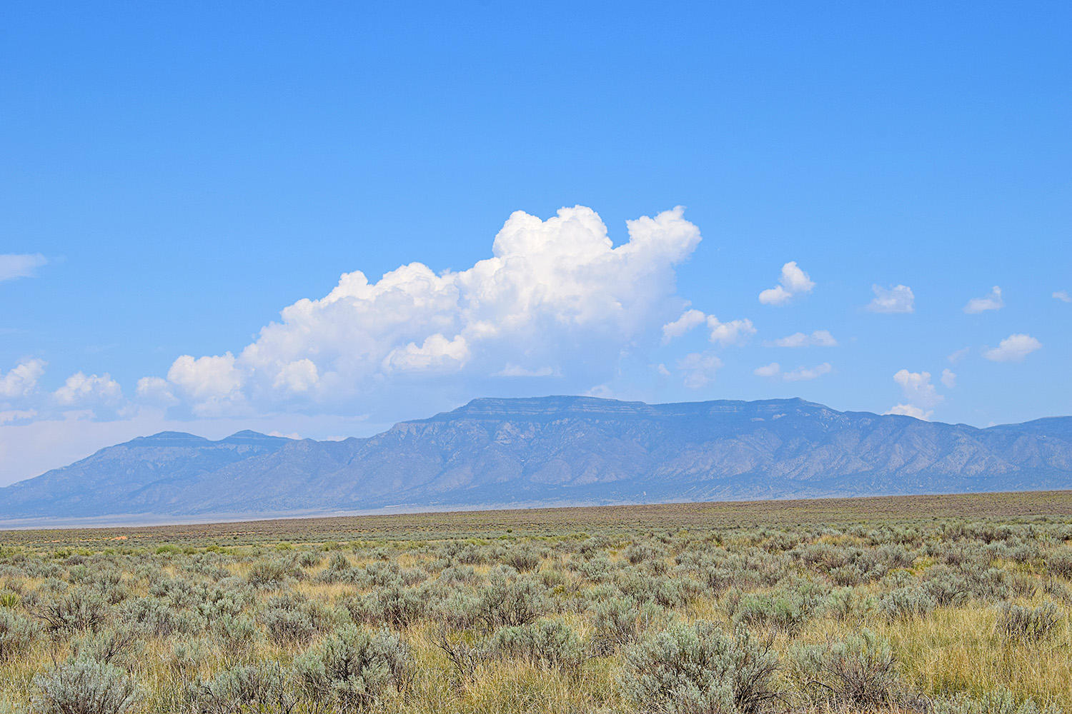 Photo 6 — Lot 8 Rio Del Oro 12