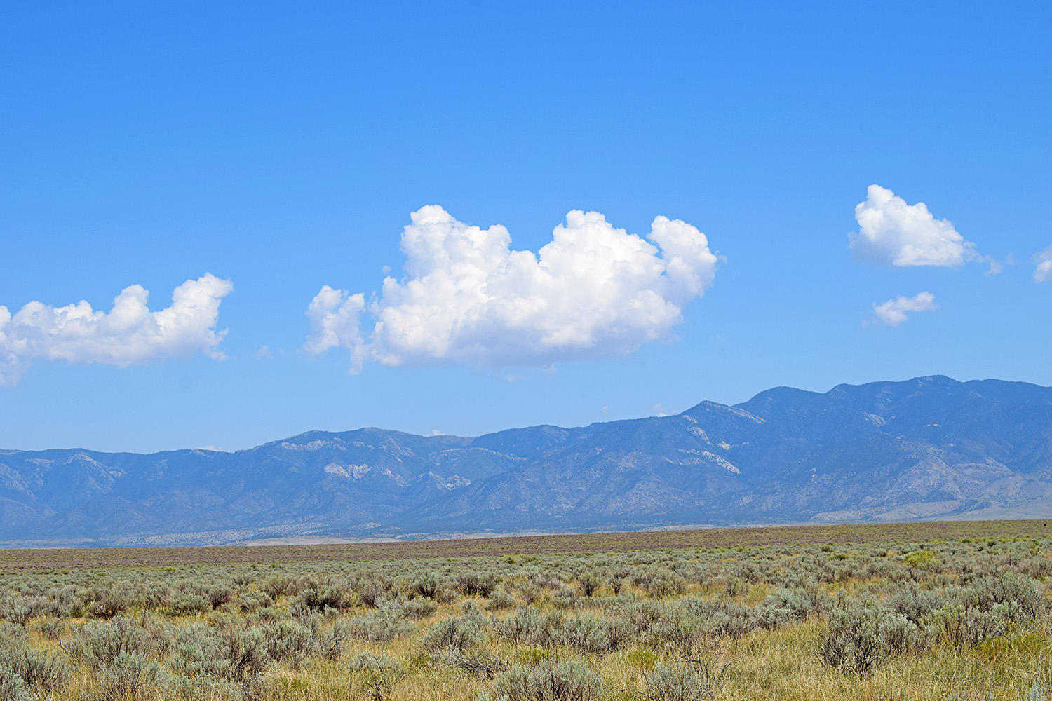 Photo 5 — Lot 8 Rio Del Oro 12