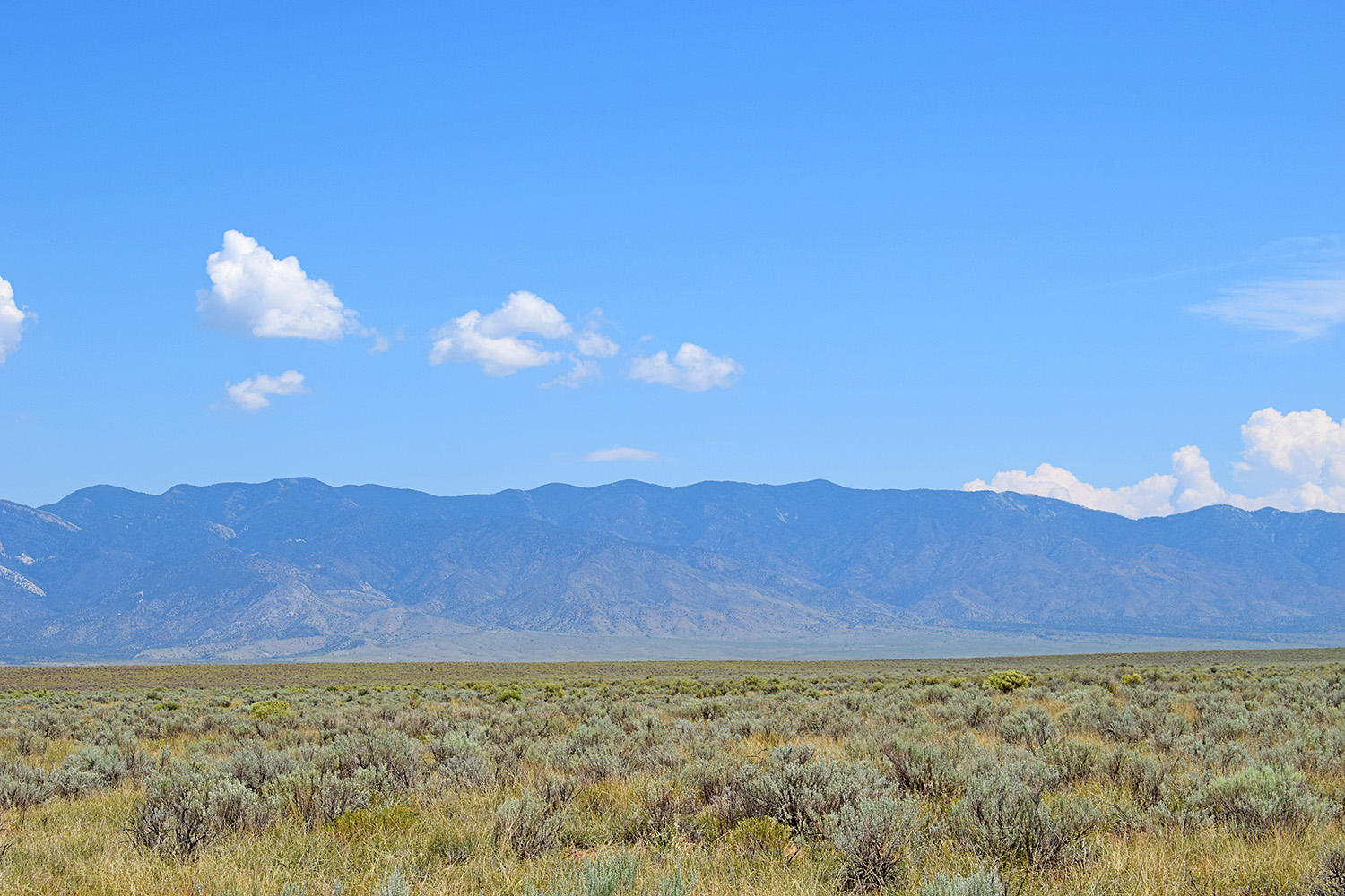Photo 4 — Lot 8 Rio Del Oro 12