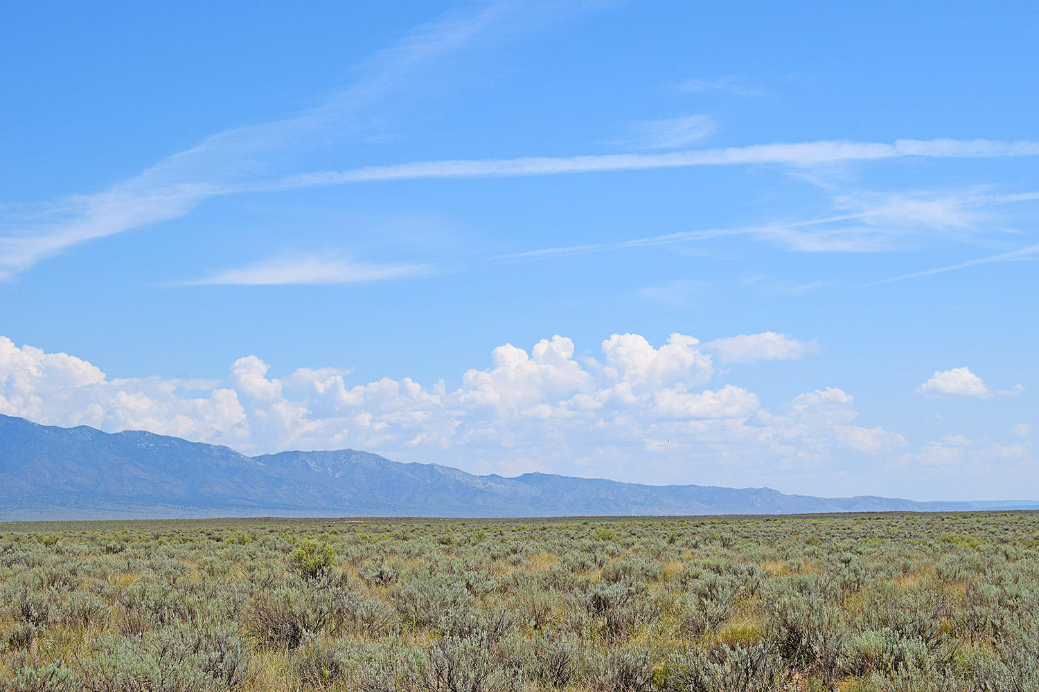 Photo 3 — Lot 8 Rio Del Oro 12