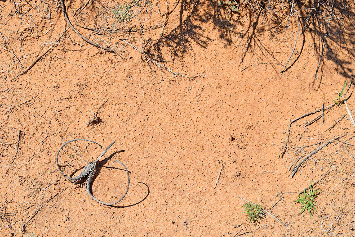 Photo 10 — Lot 8 Rio Del Oro 12