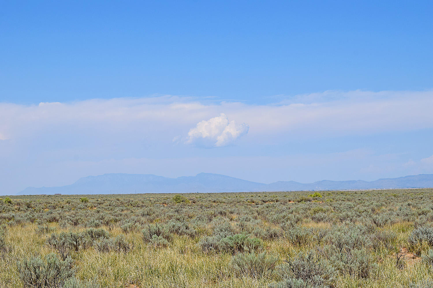 Photo 8 — Lot 8 Rio Del Oro 12