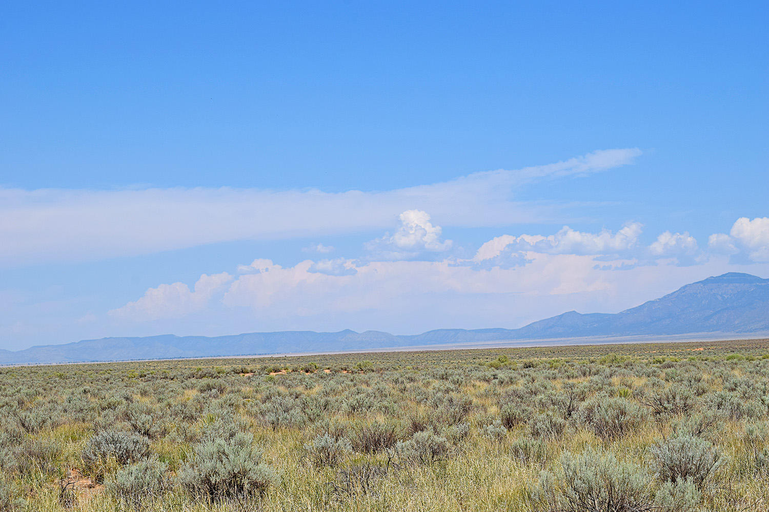 Photo 7 — Lot 8 Rio Del Oro 12