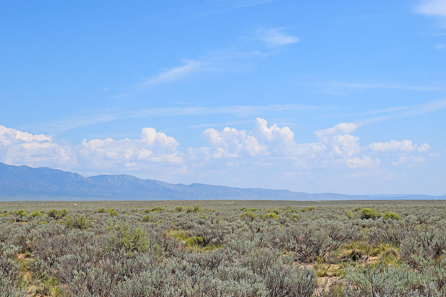 Photo 7 — Lot 11 Rio Del Oro 51