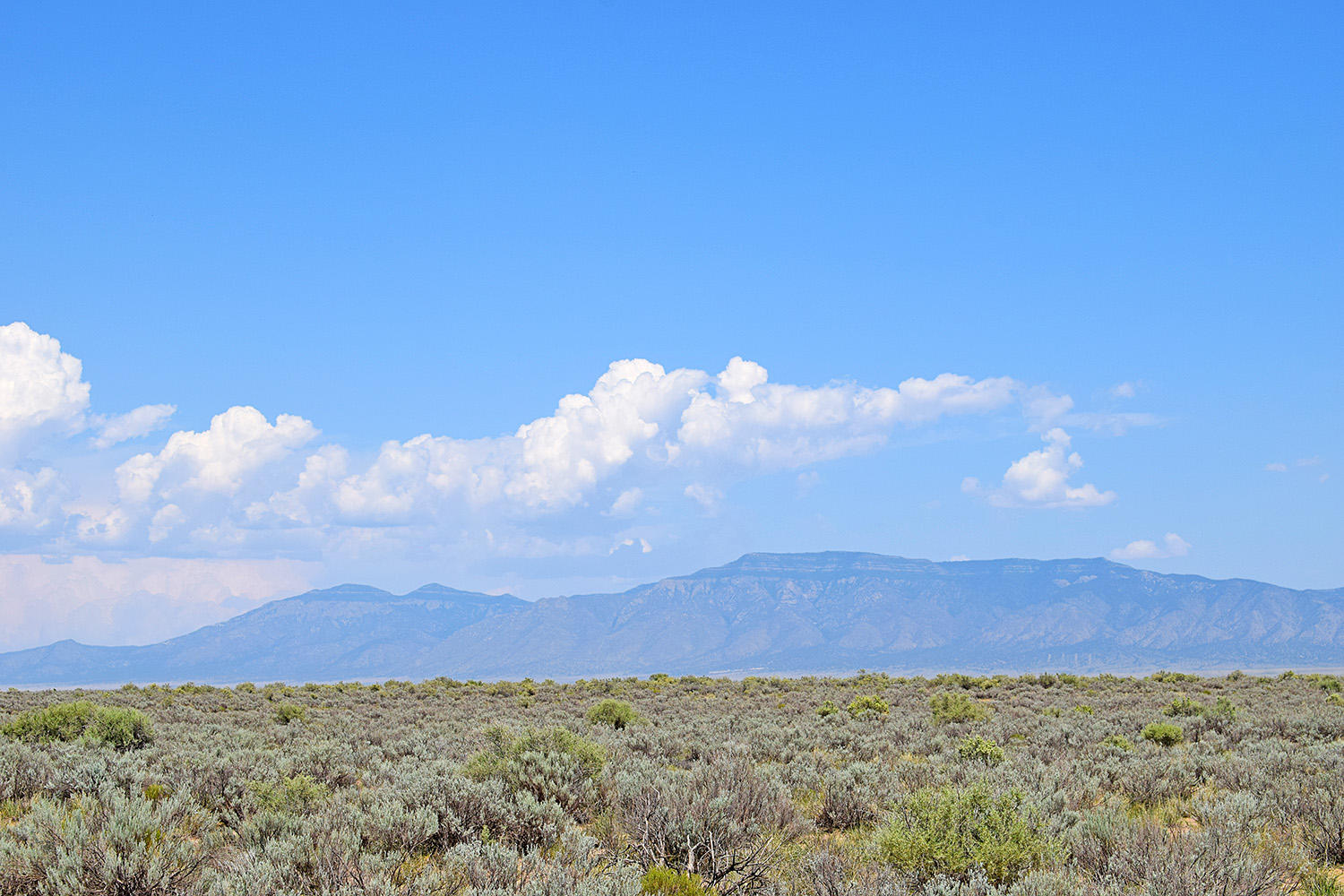 Photo 10 — Lot 11 Rio Del Oro 51