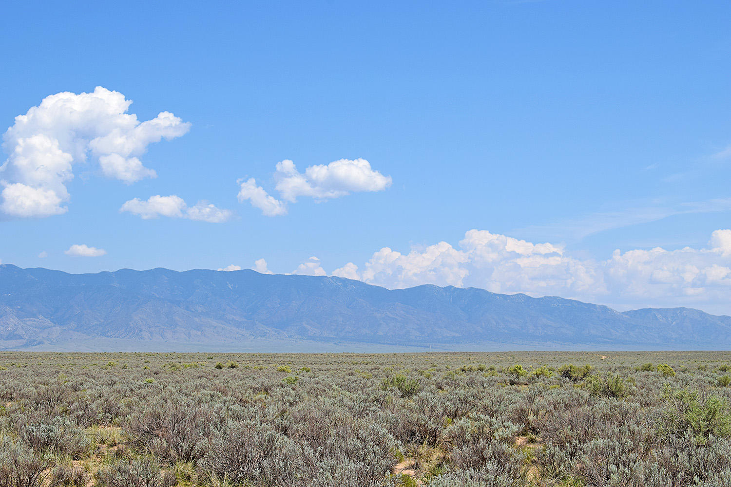 Photo 8 — Lot 11 Rio Del Oro 51