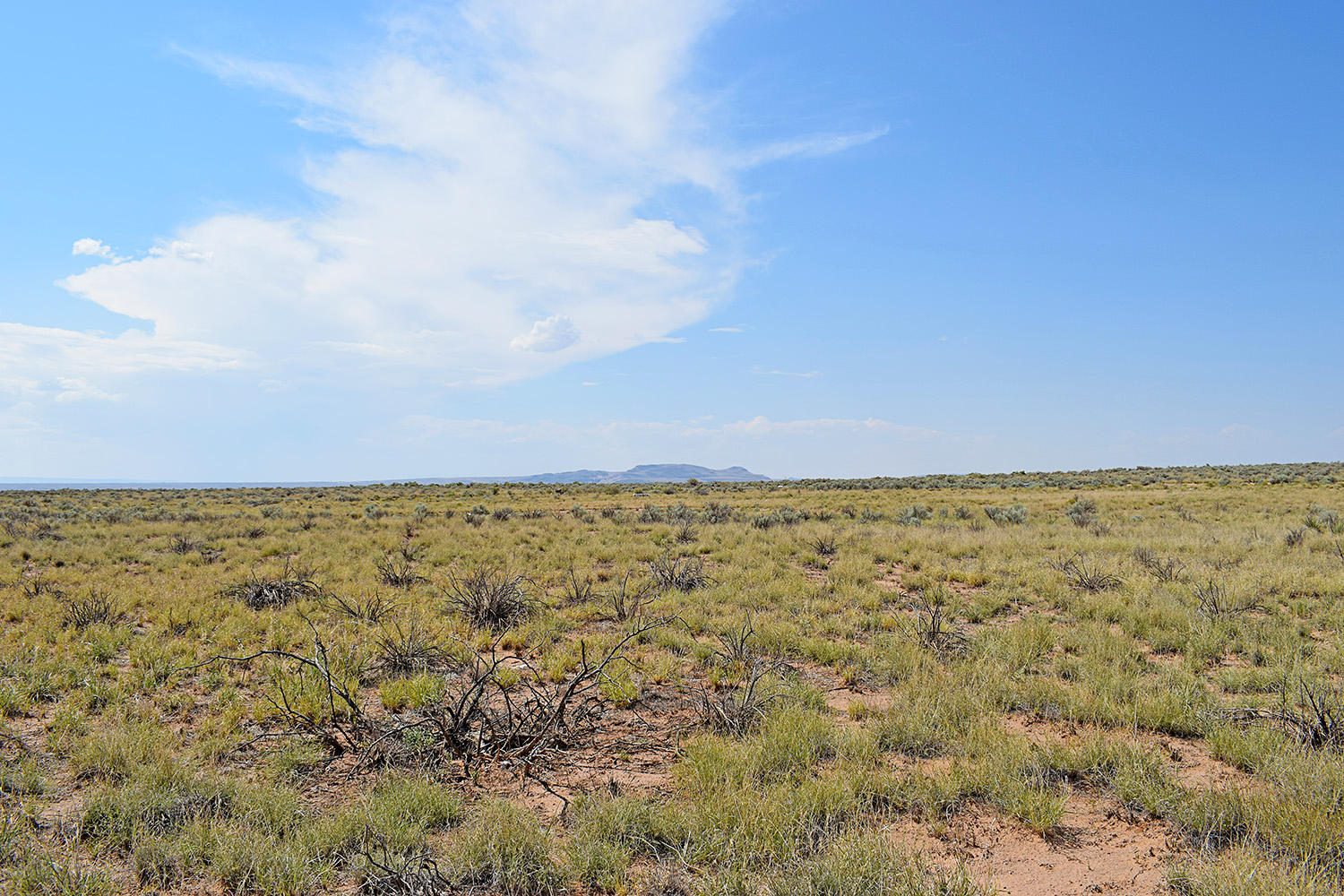 Photo 8 — Lot 10 Rio Del Oro 53