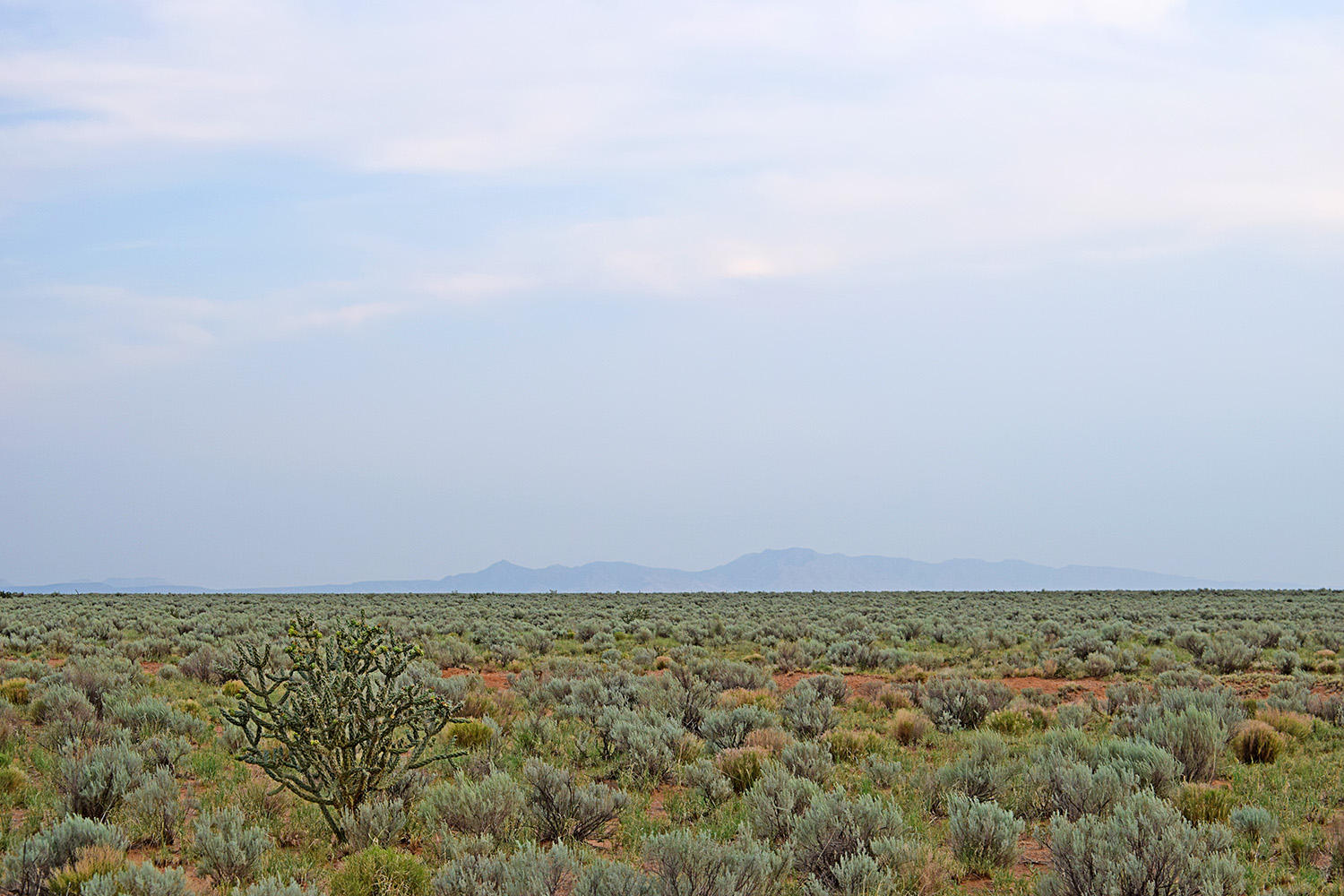 Photo 10 — Lot 181 Rancho Rio Grande 15e