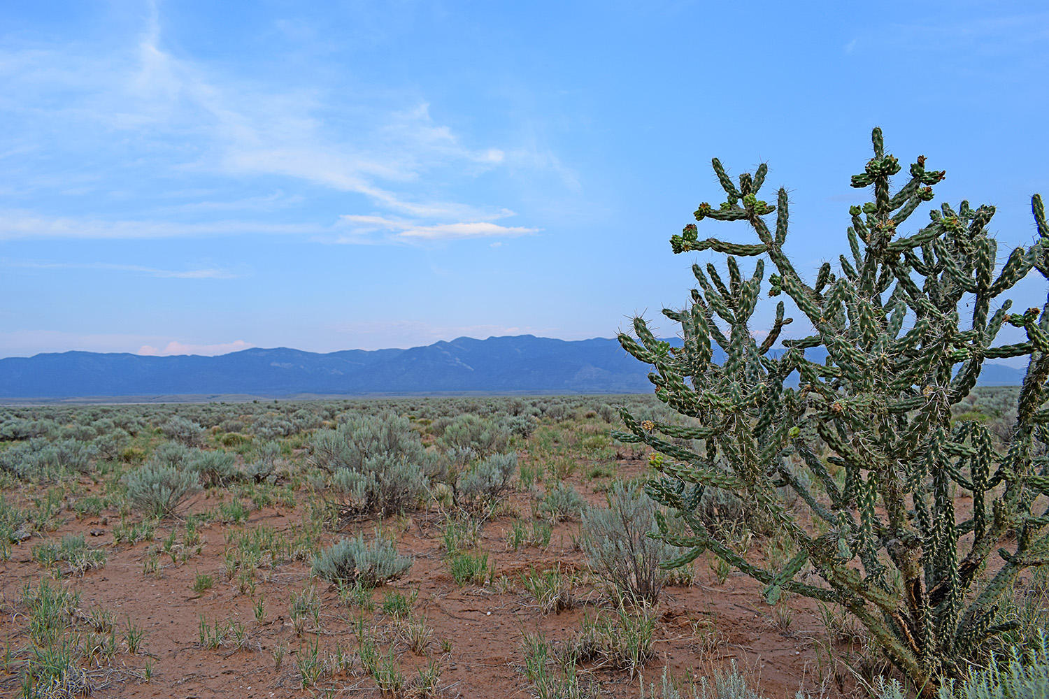 Photo 5 — Lot 181 Rancho Rio Grande 15e