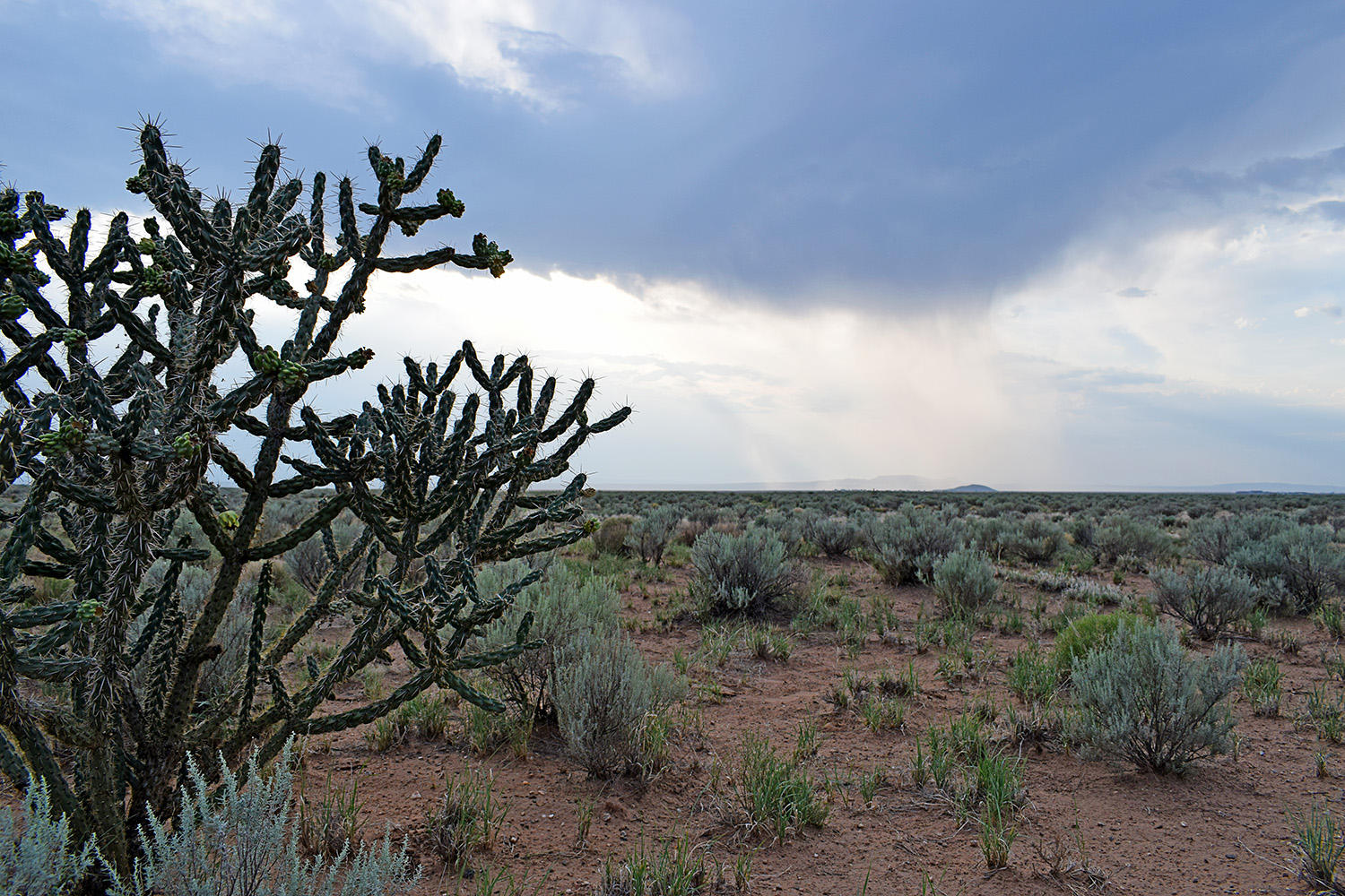 Photo 4 — Lot 181 Rancho Rio Grande 15e