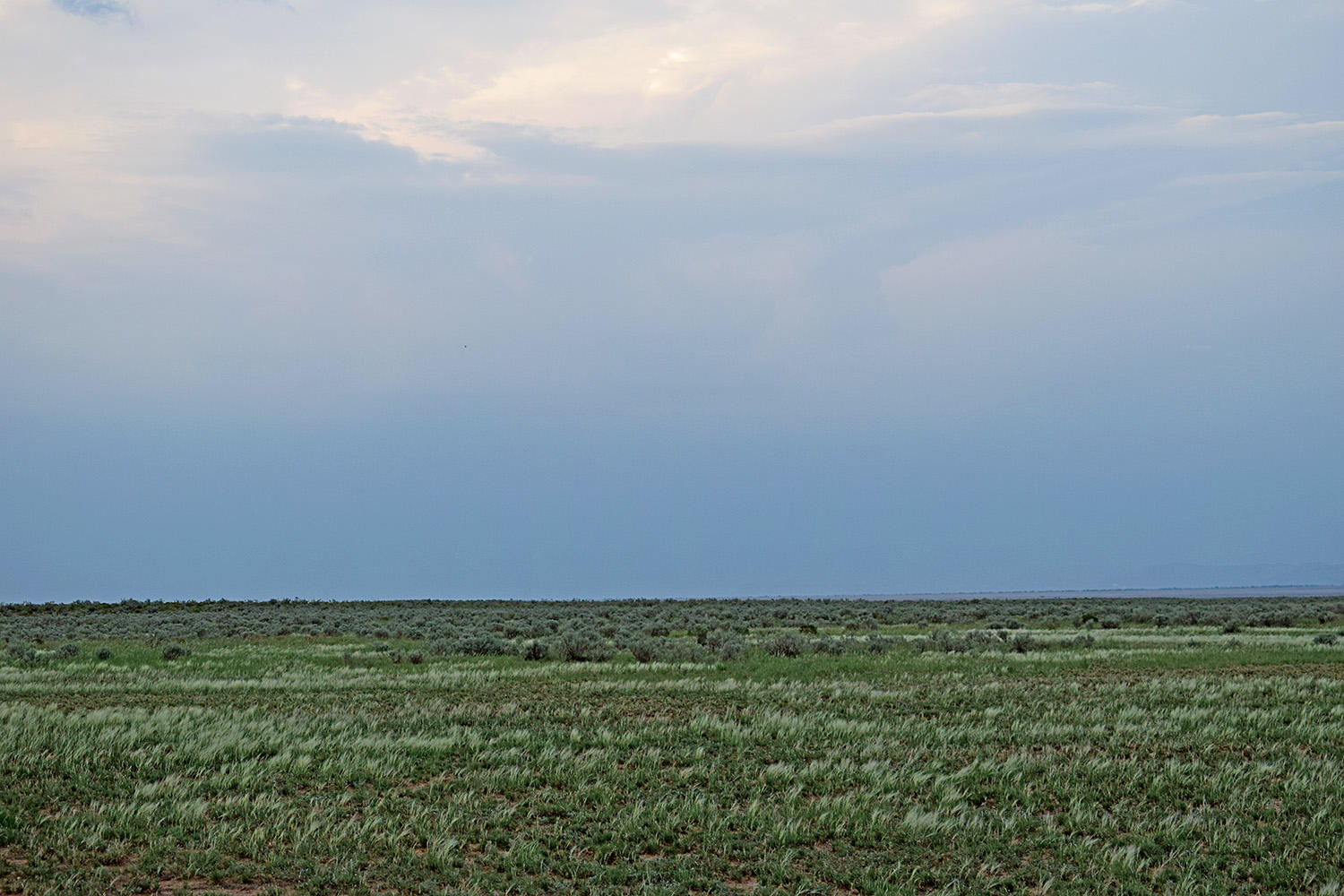 Photo 10 — Lot 125 Rancho Rio Grande 11e