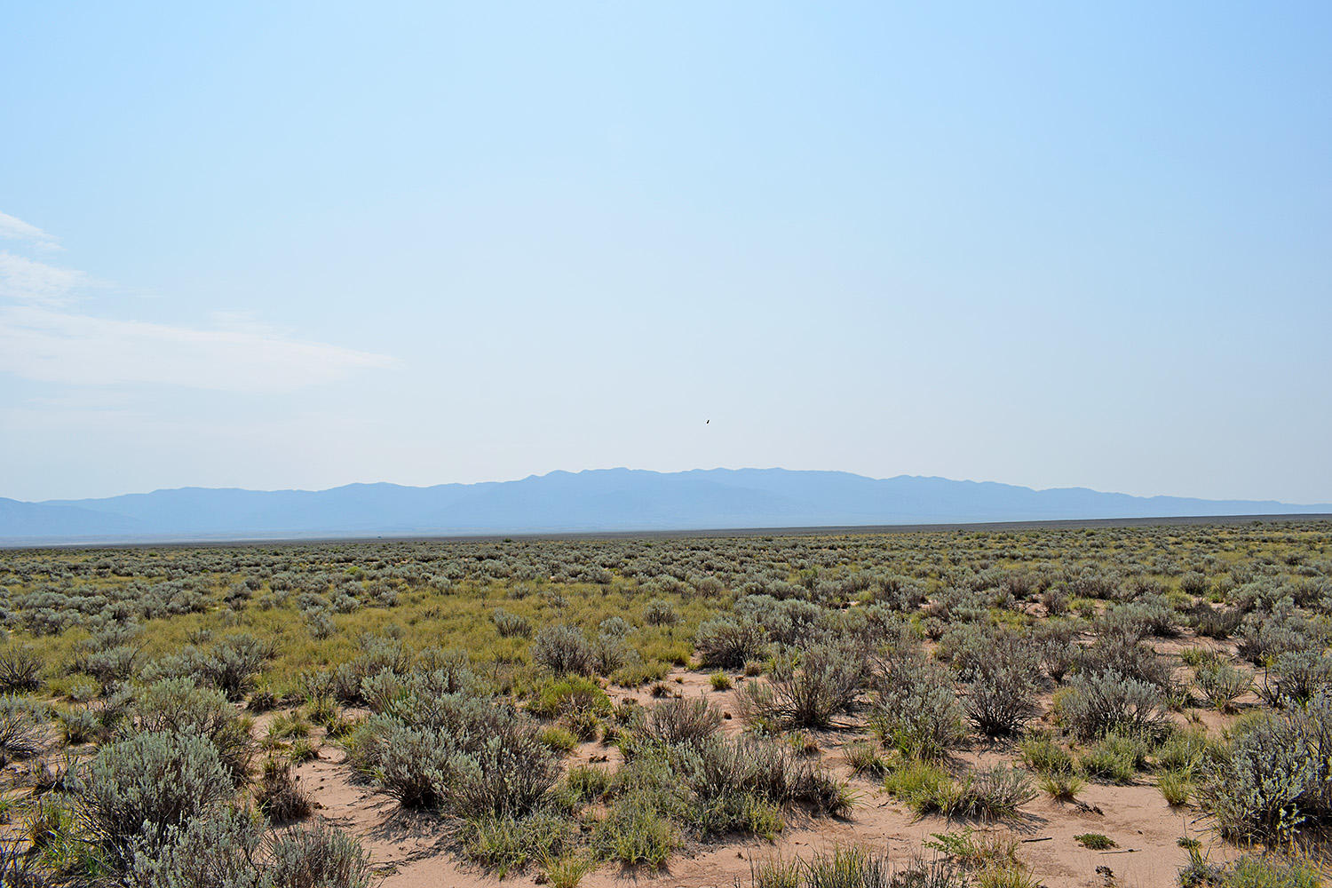 Photo 8 — Lot 4 Rio Del Oro 11
