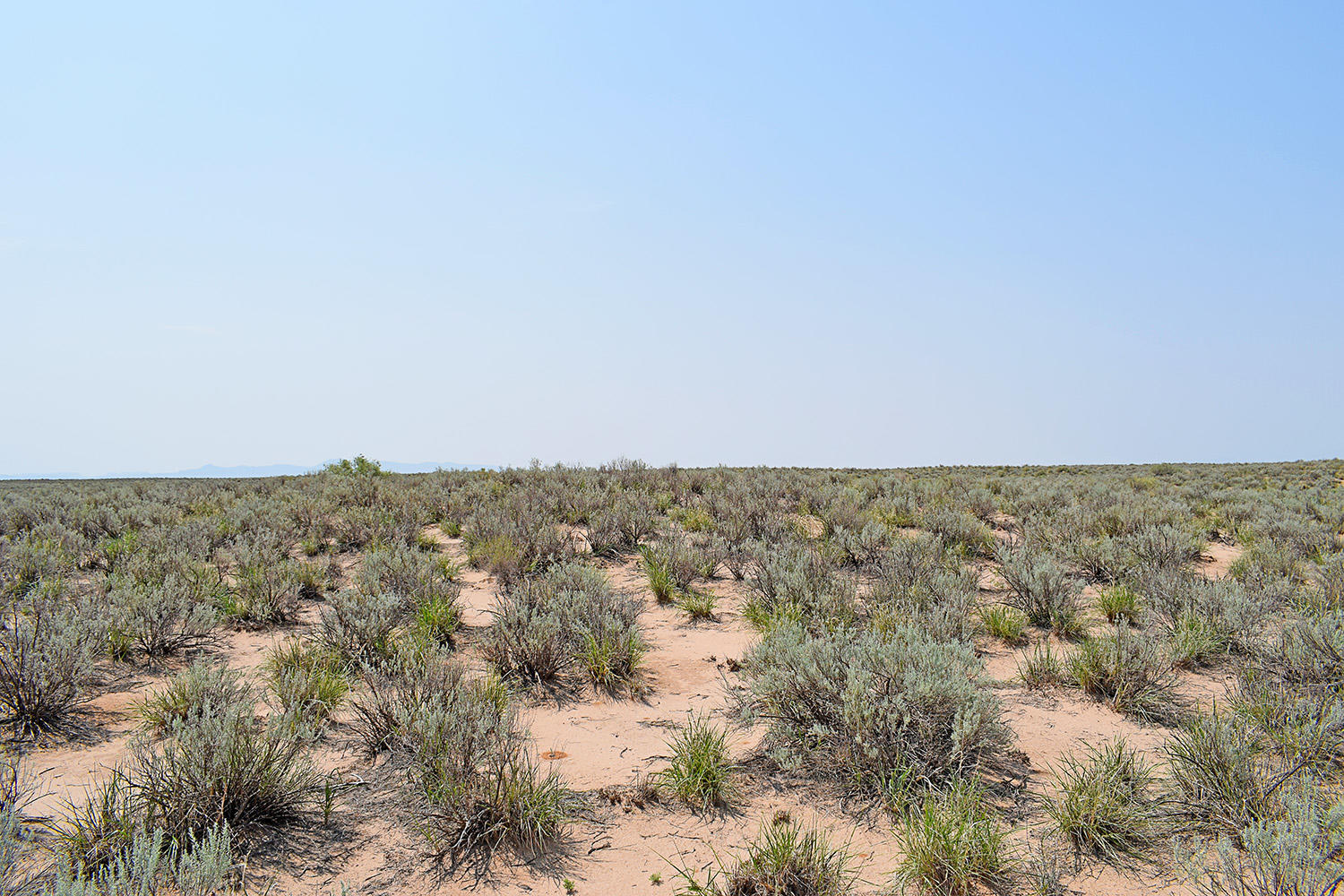 Lot 17 Rio Del Oro 14, Belen, NM 87002