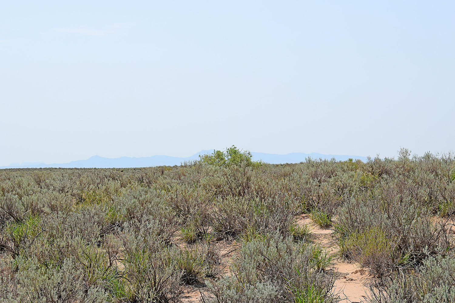 Photo 8 — Lot 17 Rio Del Oro 14