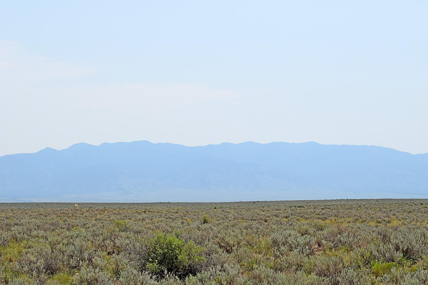 Photo 2 — Lot 17 Rio Del Oro 14