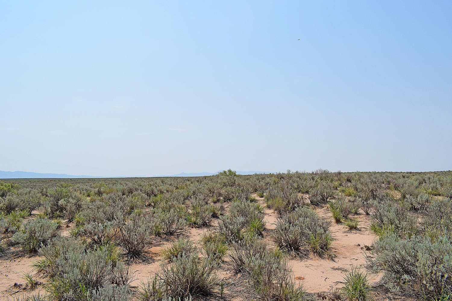 Photo 9 — Lot 17 Rio Del Oro 14