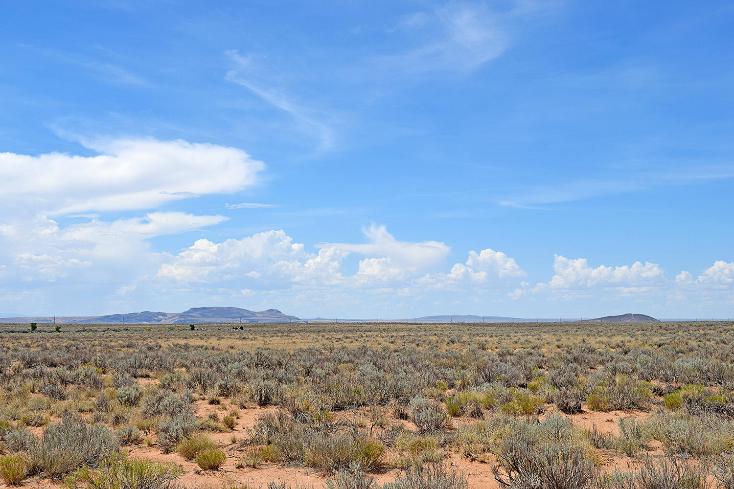 Photo 3 — Lot 18 Rio Del Oro 12