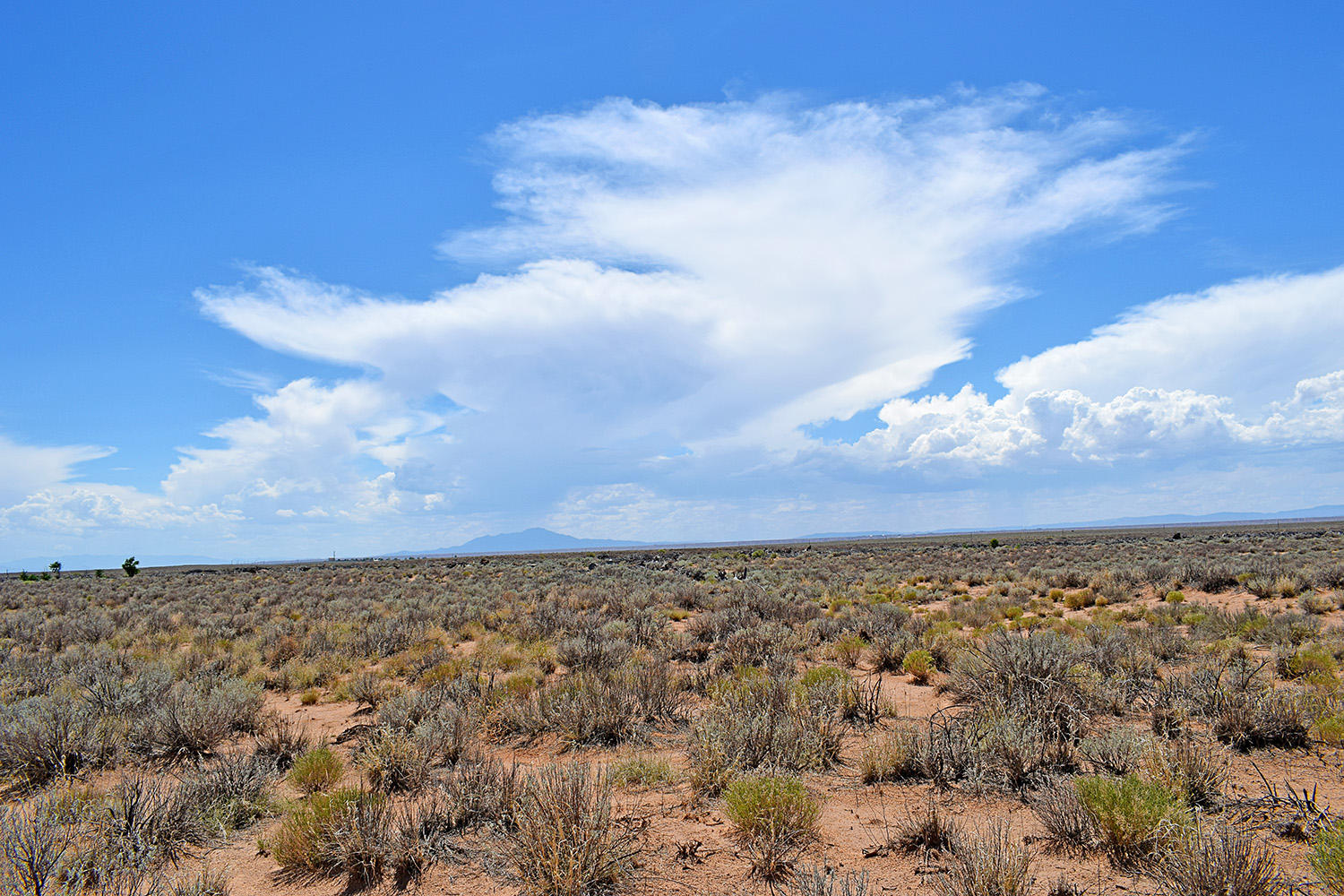 Photo 2 — Lot 18 Rio Del Oro 12