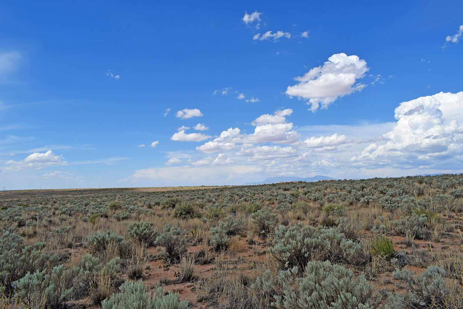 Photo 11 — Lot 5 Rio Del Oro 7