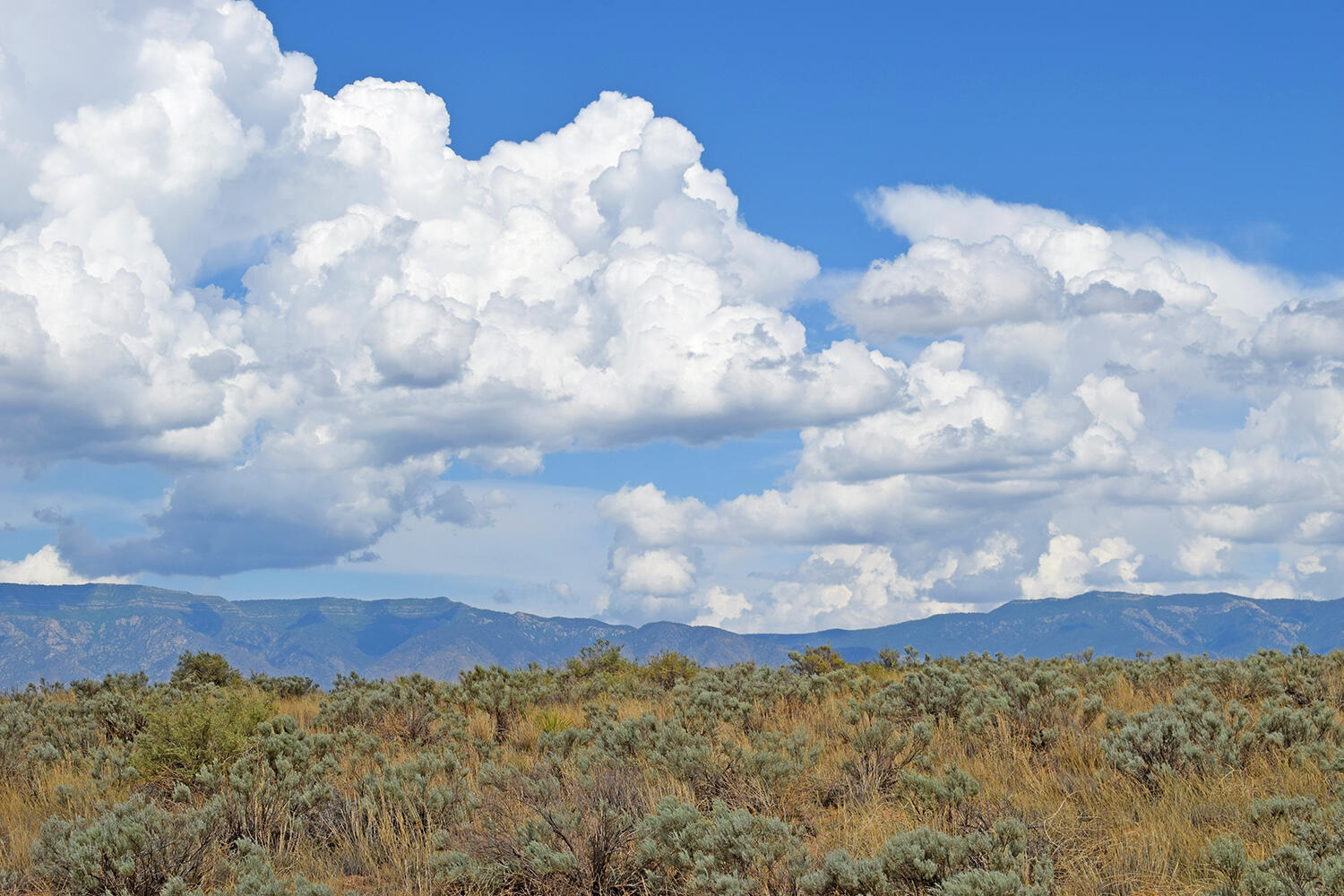 Photo 20 — Lot 5 Rio Del Oro 7